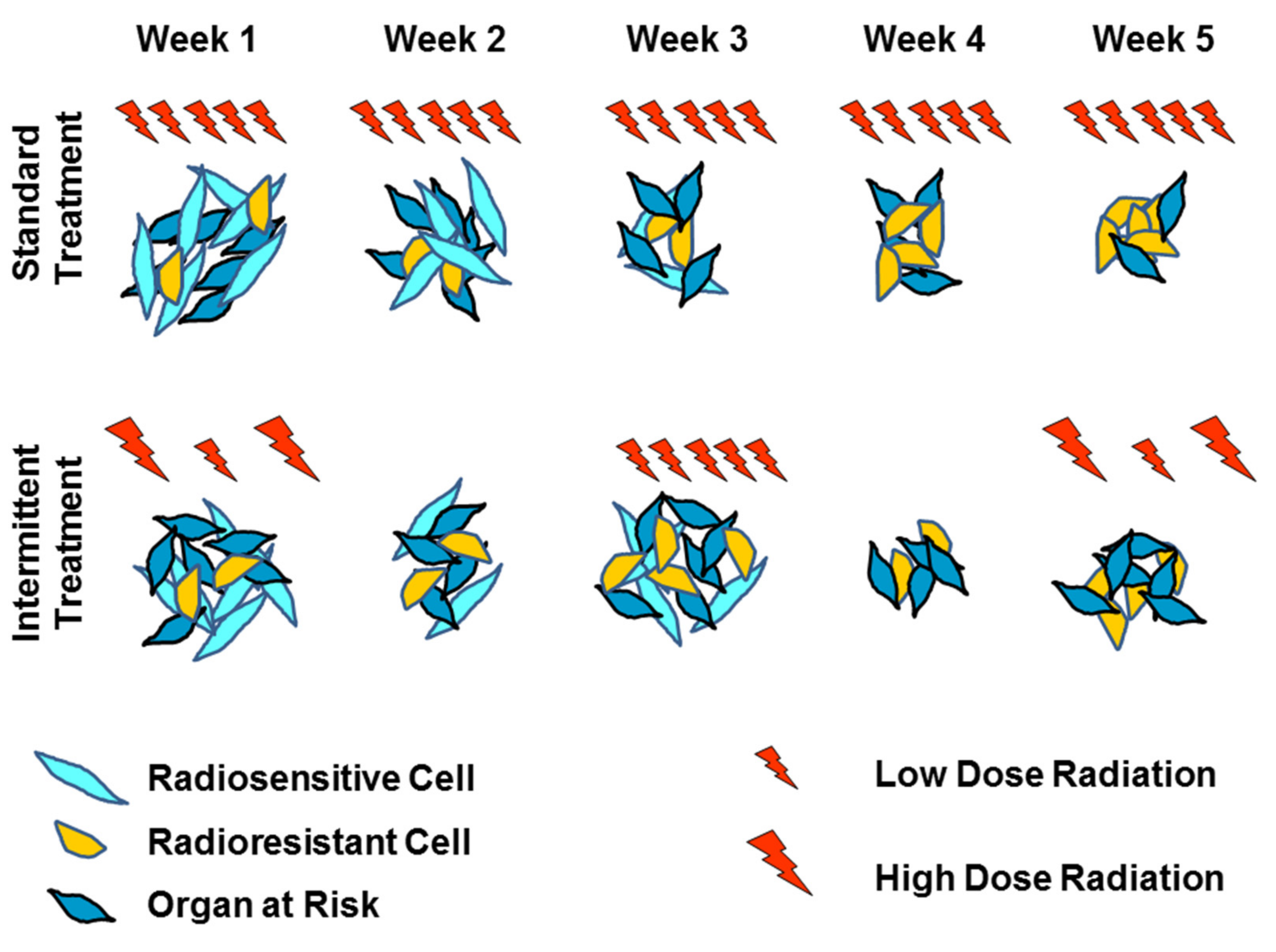 Ijms 23 01316 g004 550
