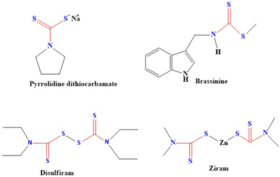 The Versatility in the Applications of Dithiocarbamates The Versatility in the Applications of Dithiocarbamates