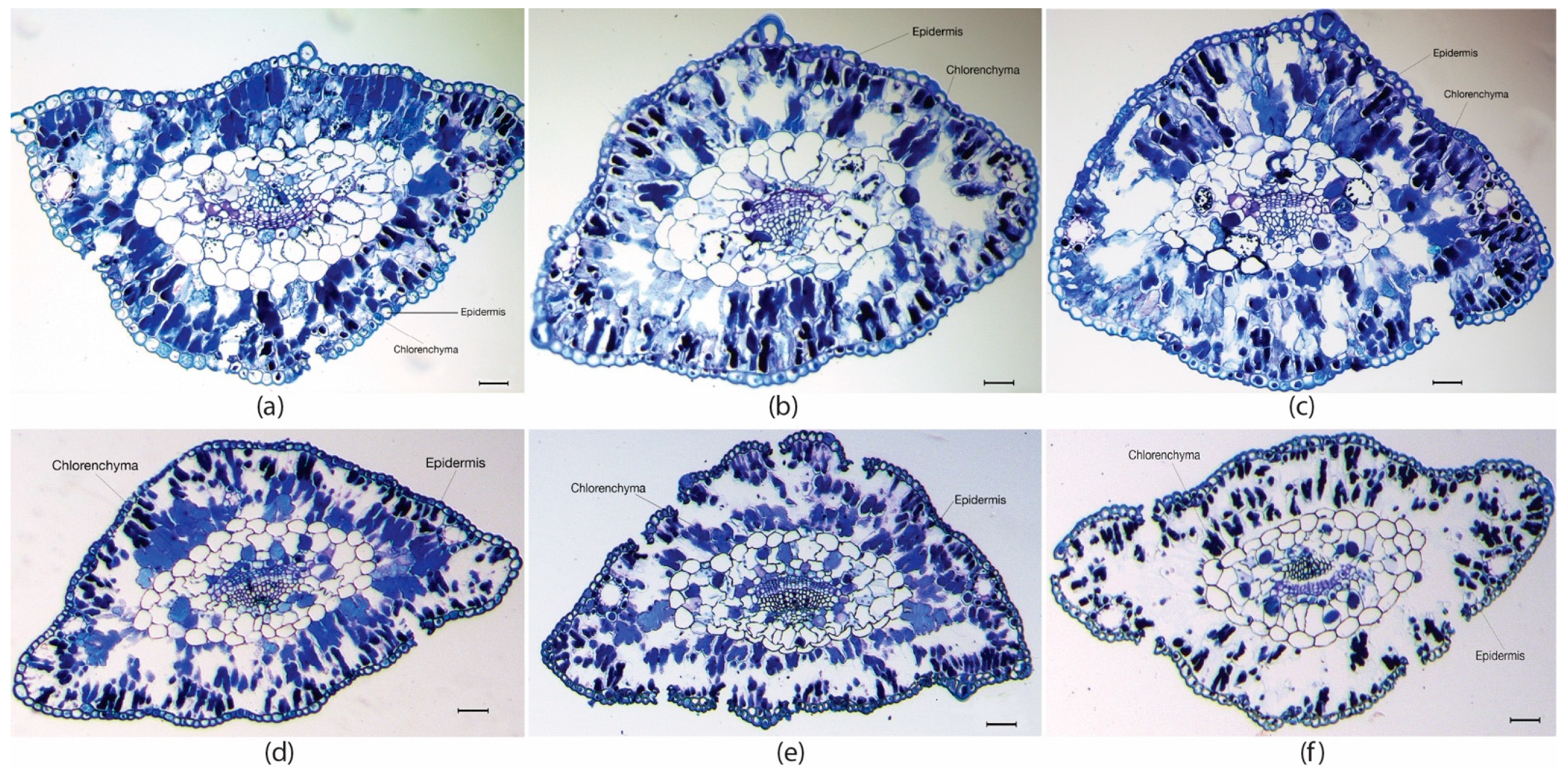 Ijms 23 01318 g001 550