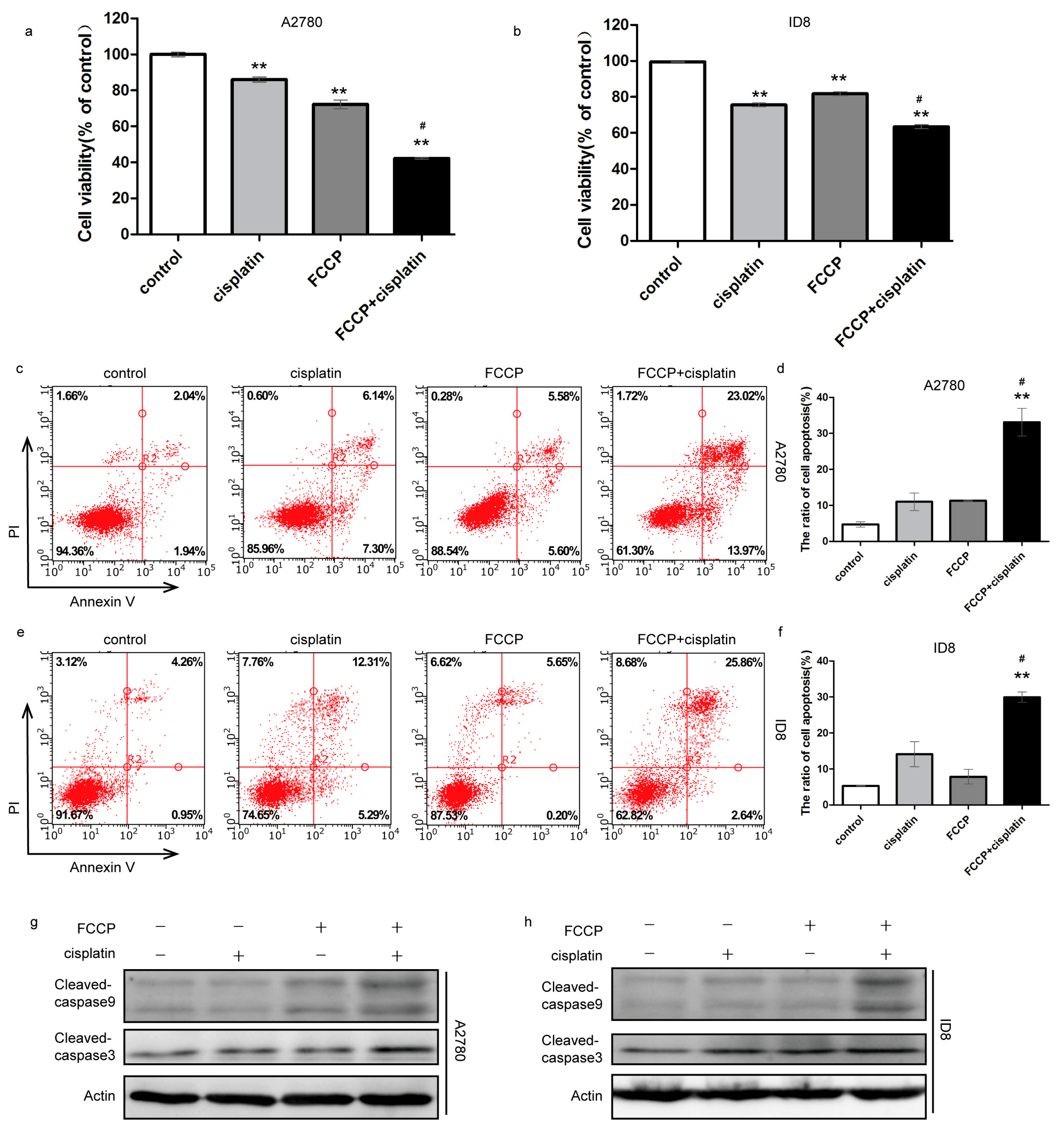 Ijms 23 01320 g001 550