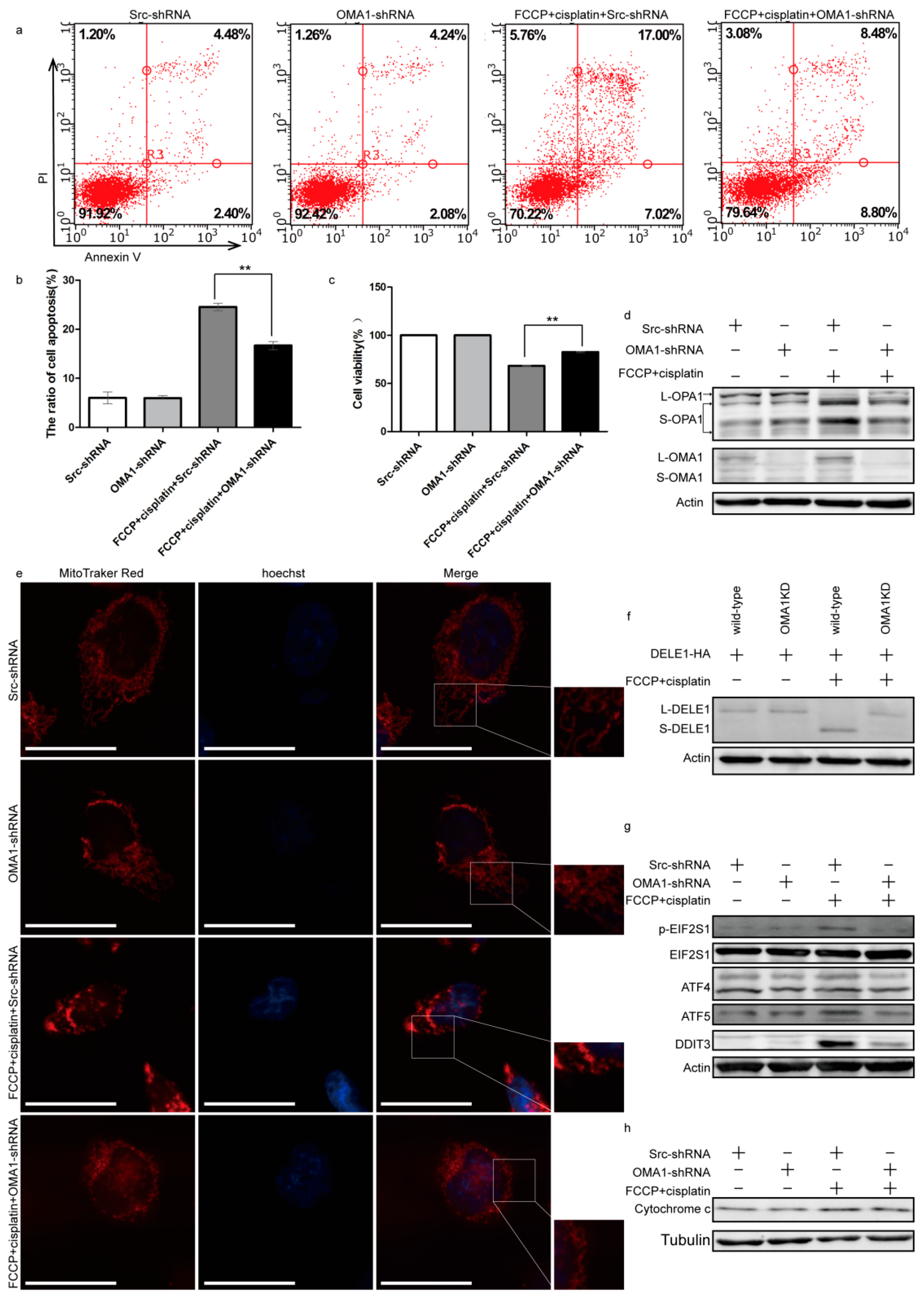 Ijms 23 01320 g005 550
