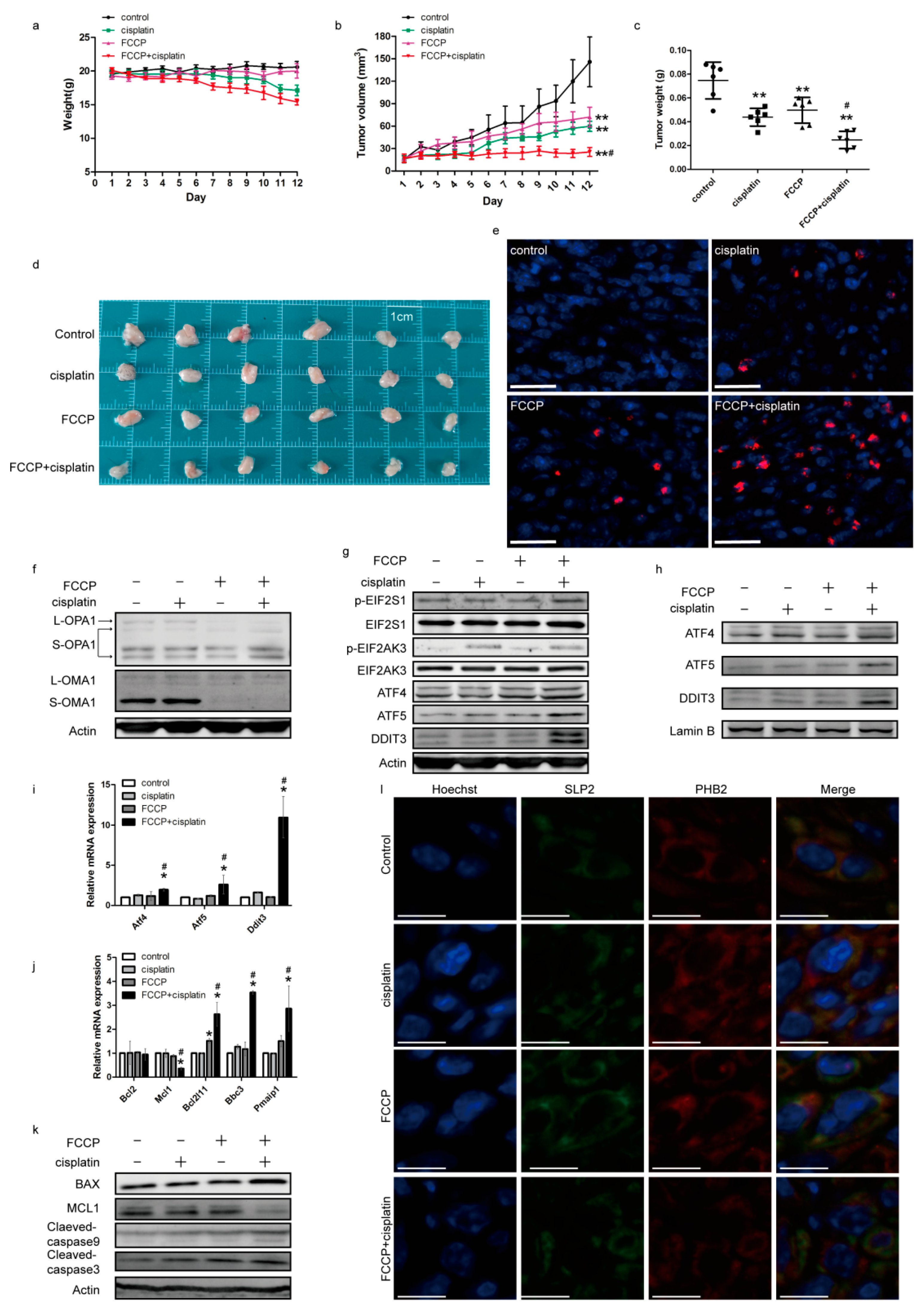 Ijms 23 01320 g007 550
