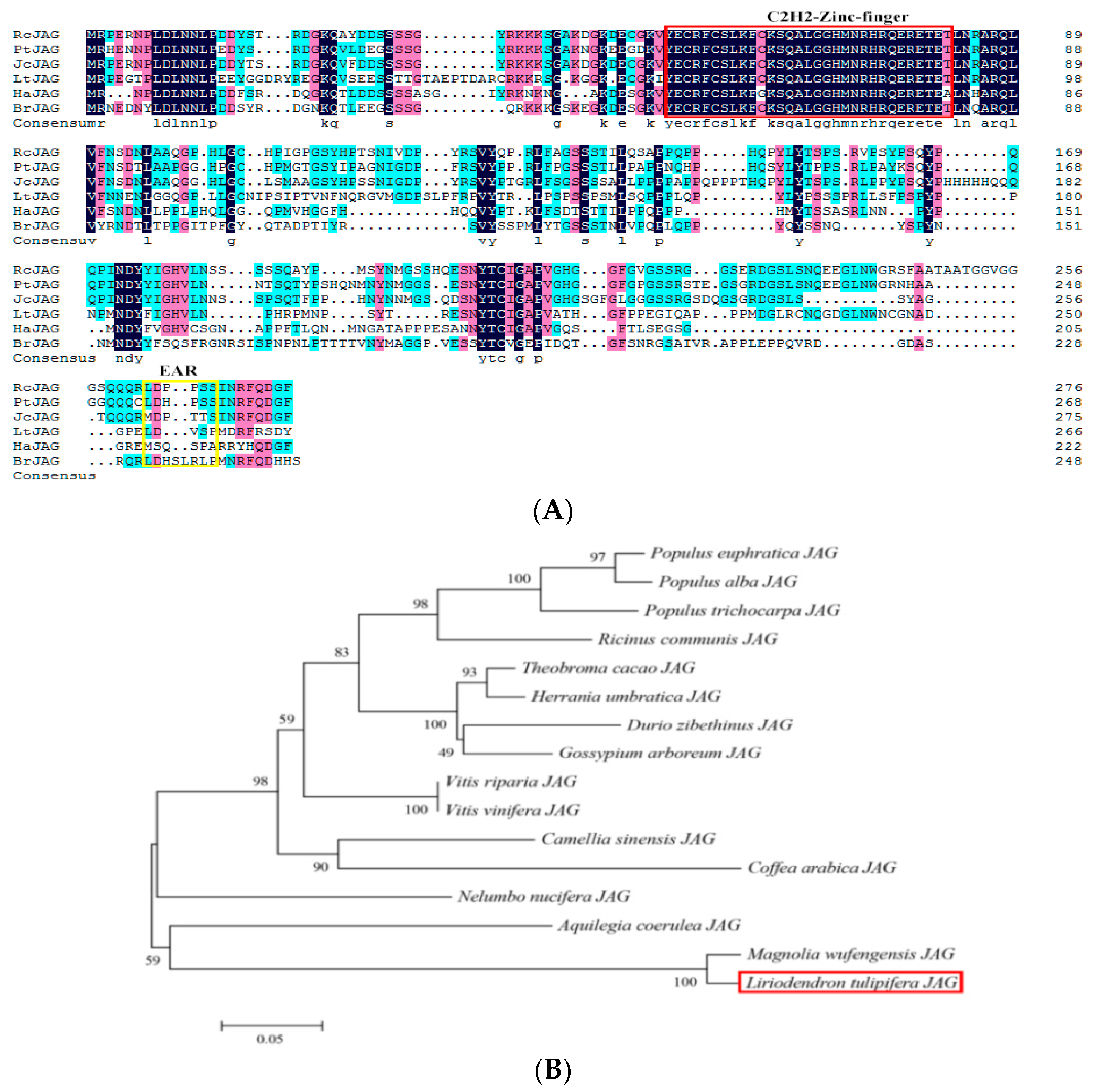 Ijms 23 01322 g002 550