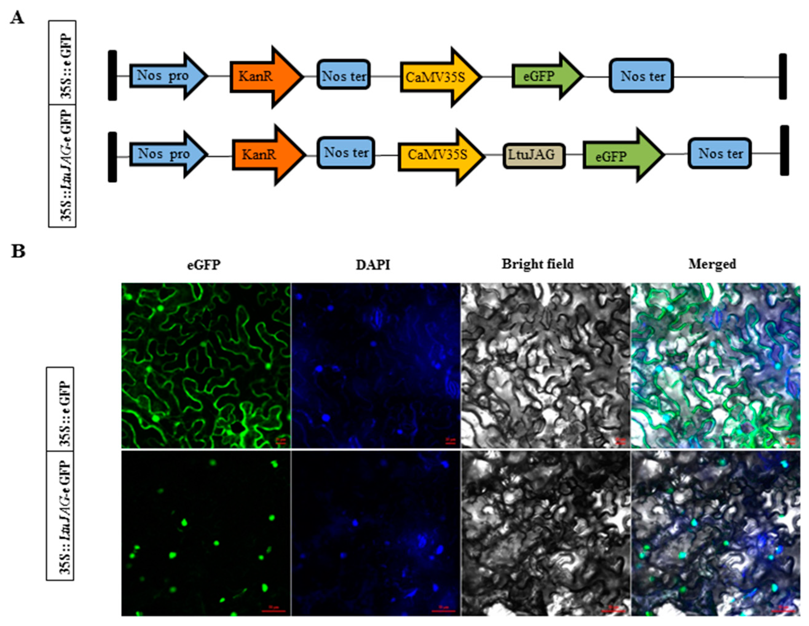 Ijms 23 01322 g003 550
