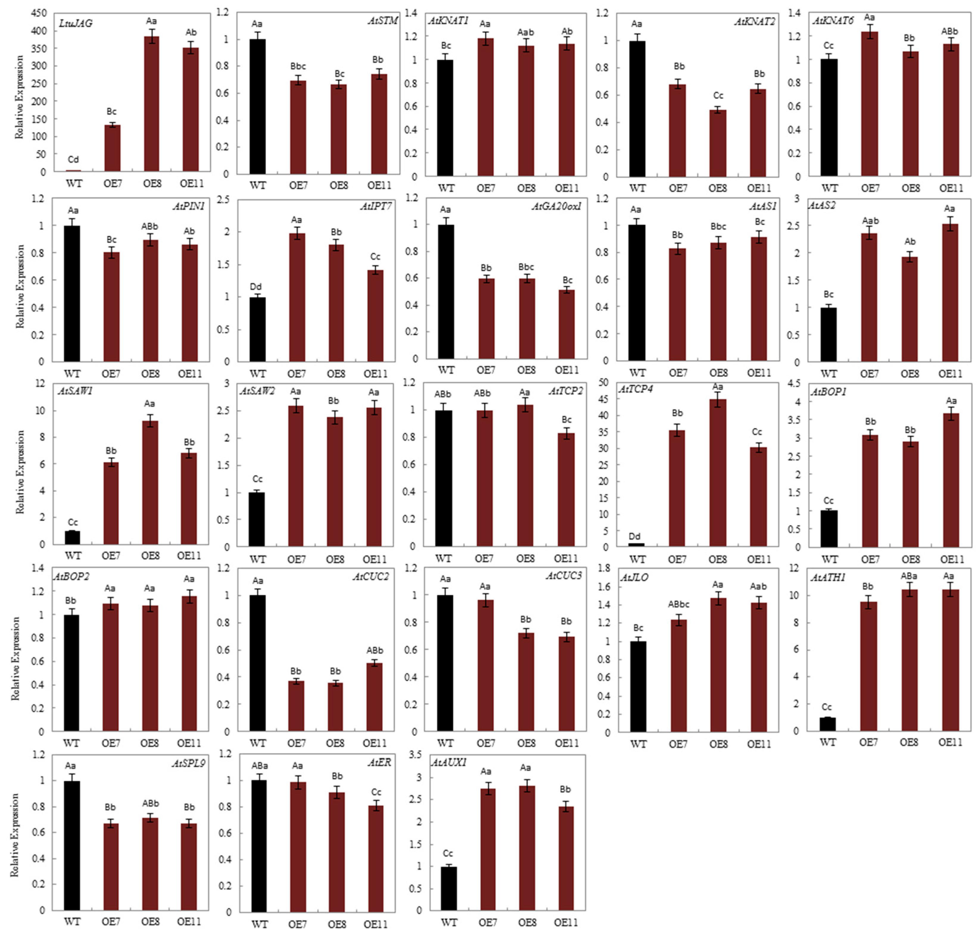 Ijms 23 01322 g007 550