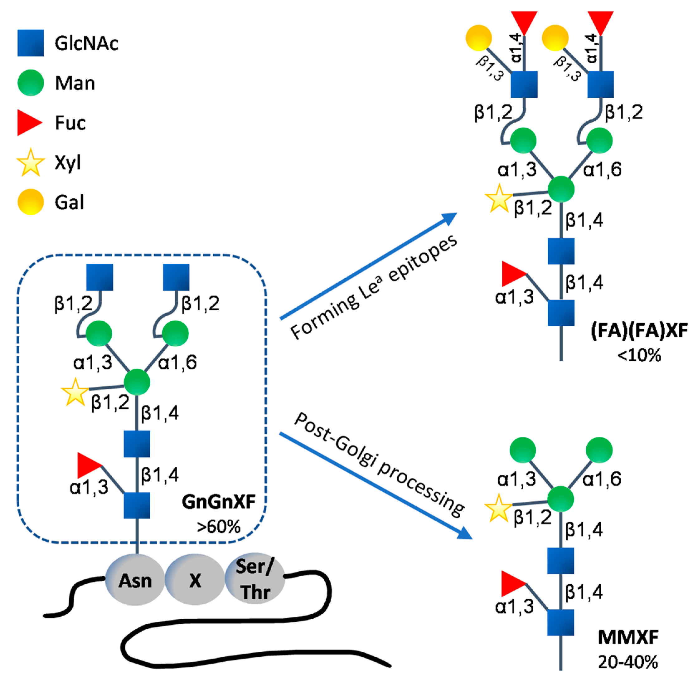 Improving Protein Quantity and Quality—The Next Level of