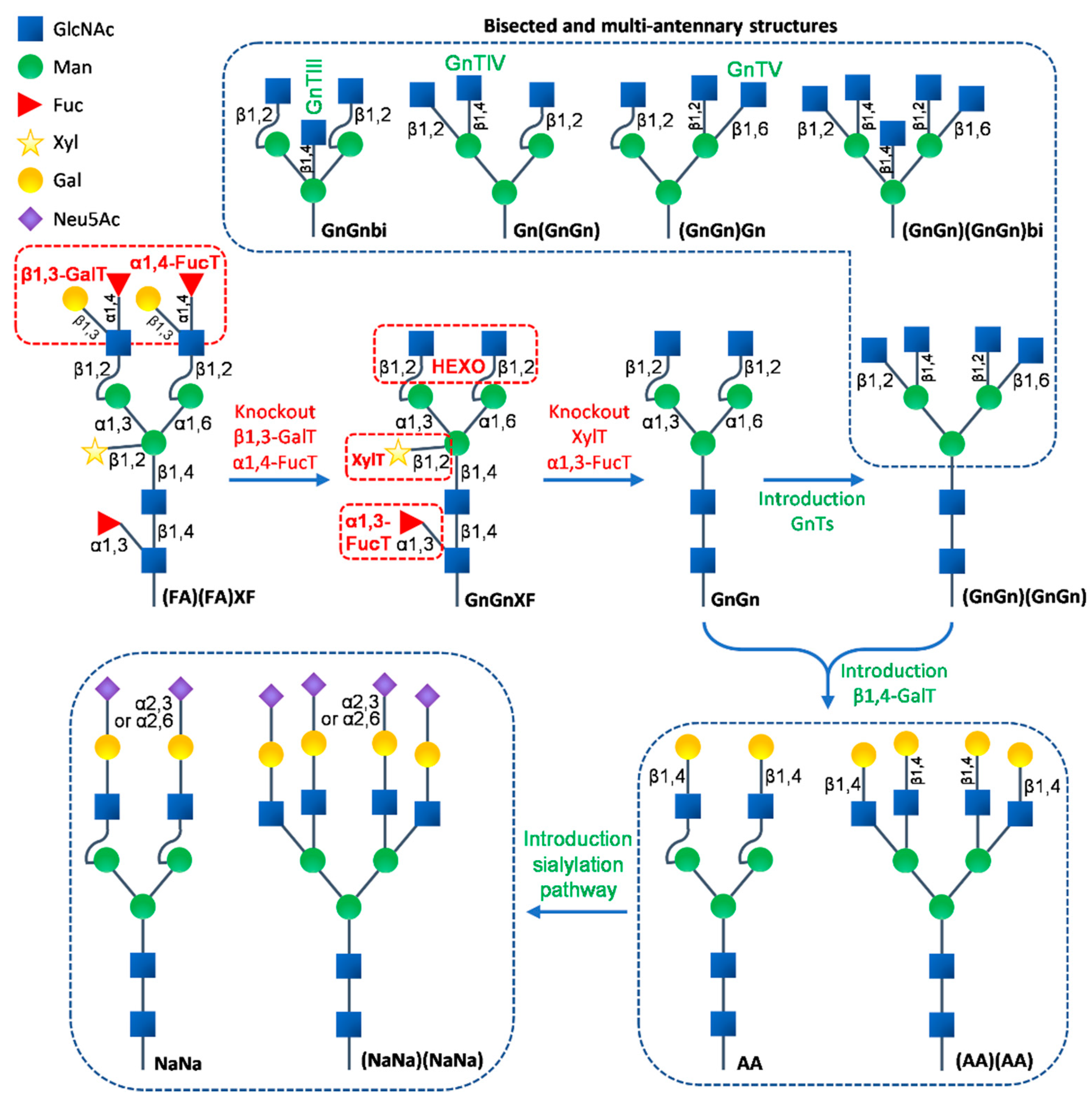 Ijms 23 01326 g002 550