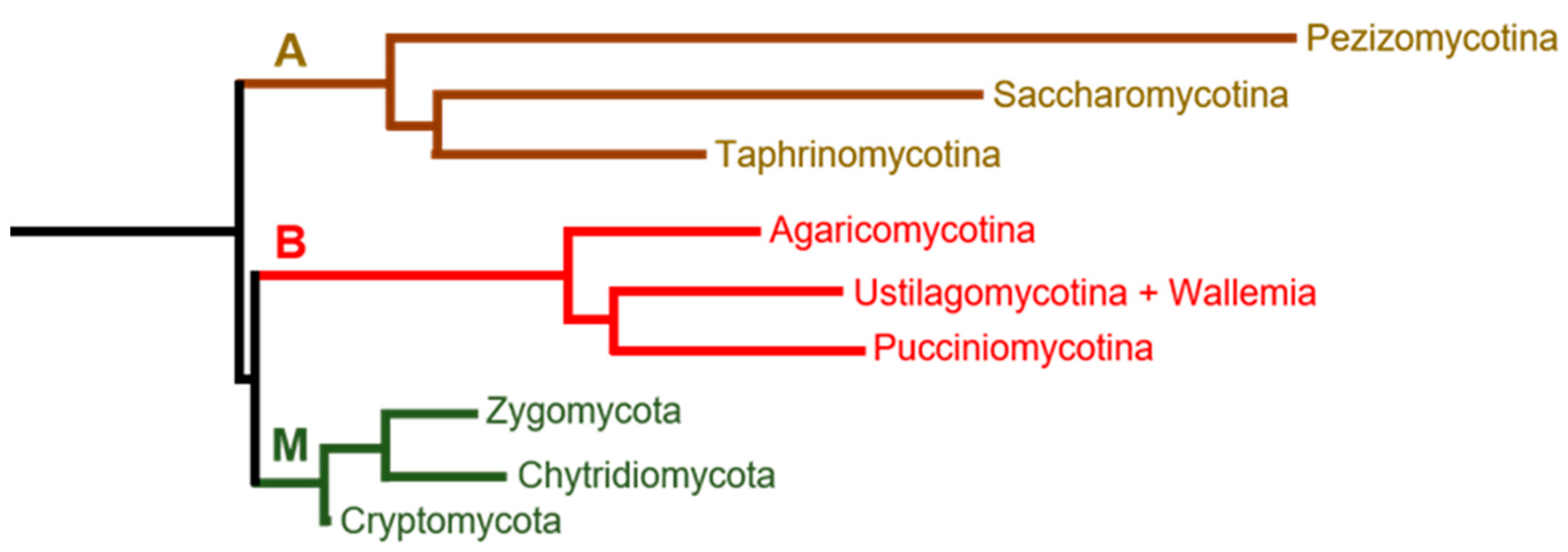 Ijms 23 01327 g001 550