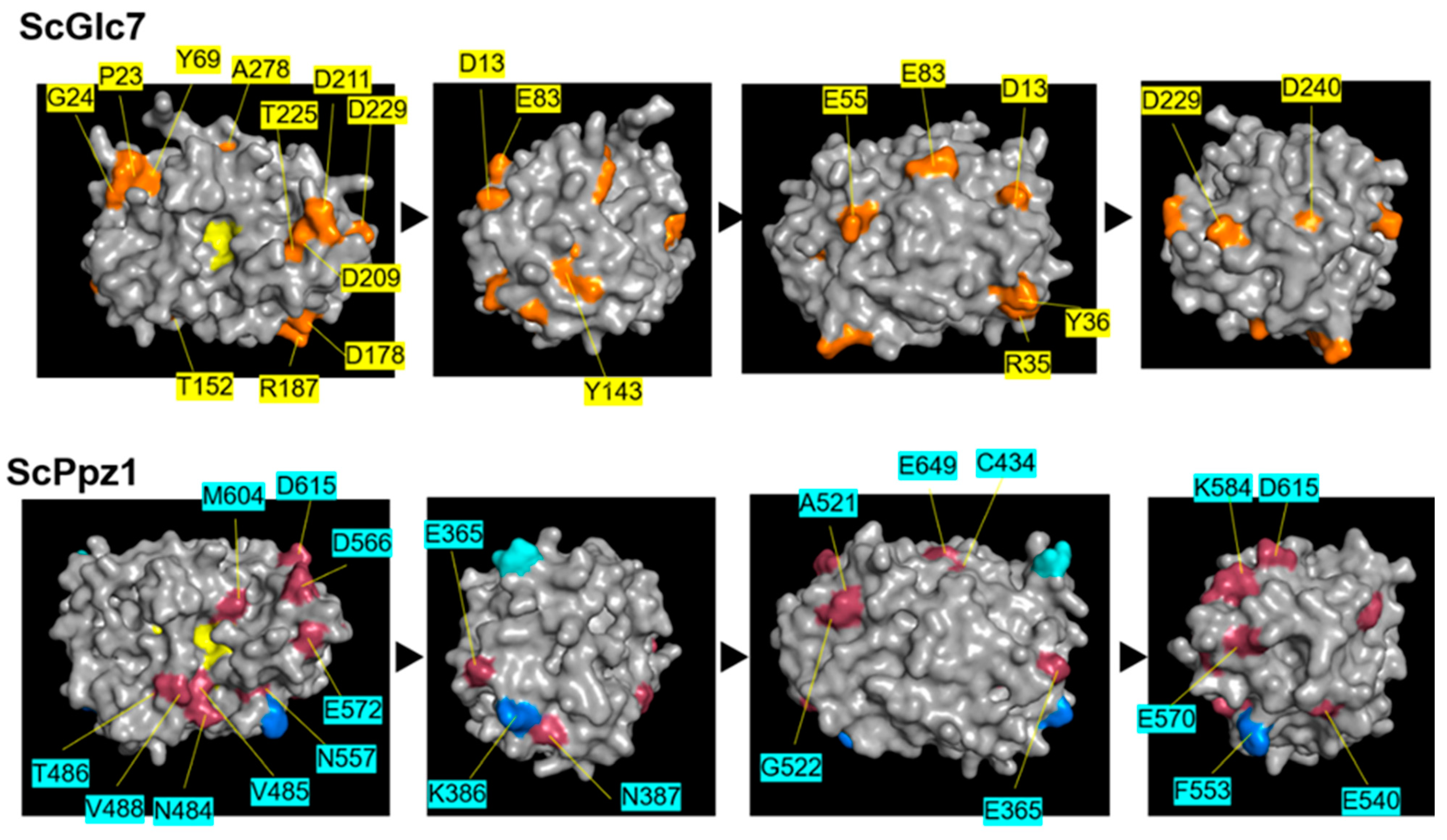 Ijms 23 01327 g003 550