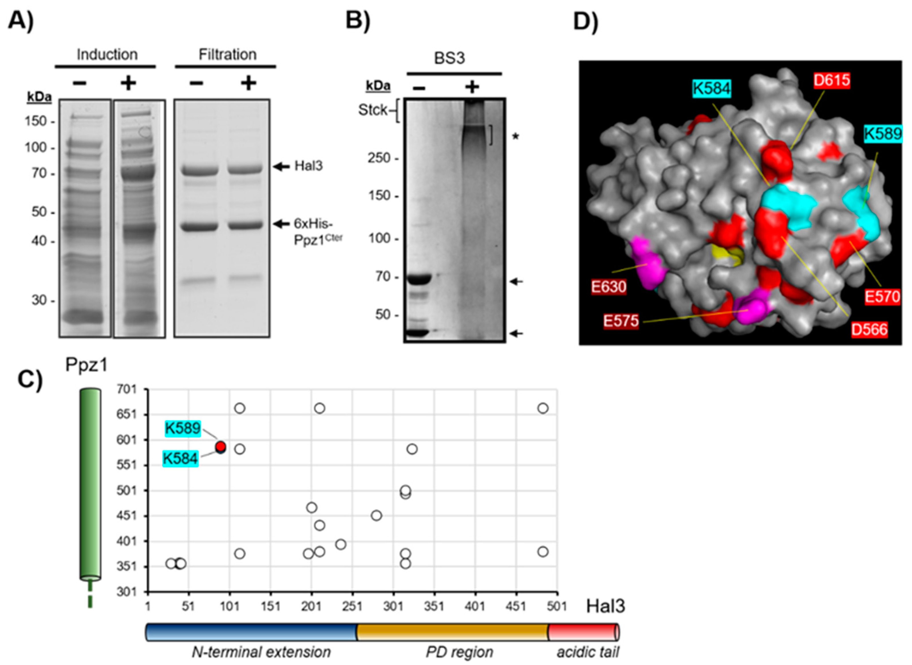 Ijms 23 01327 g006 550