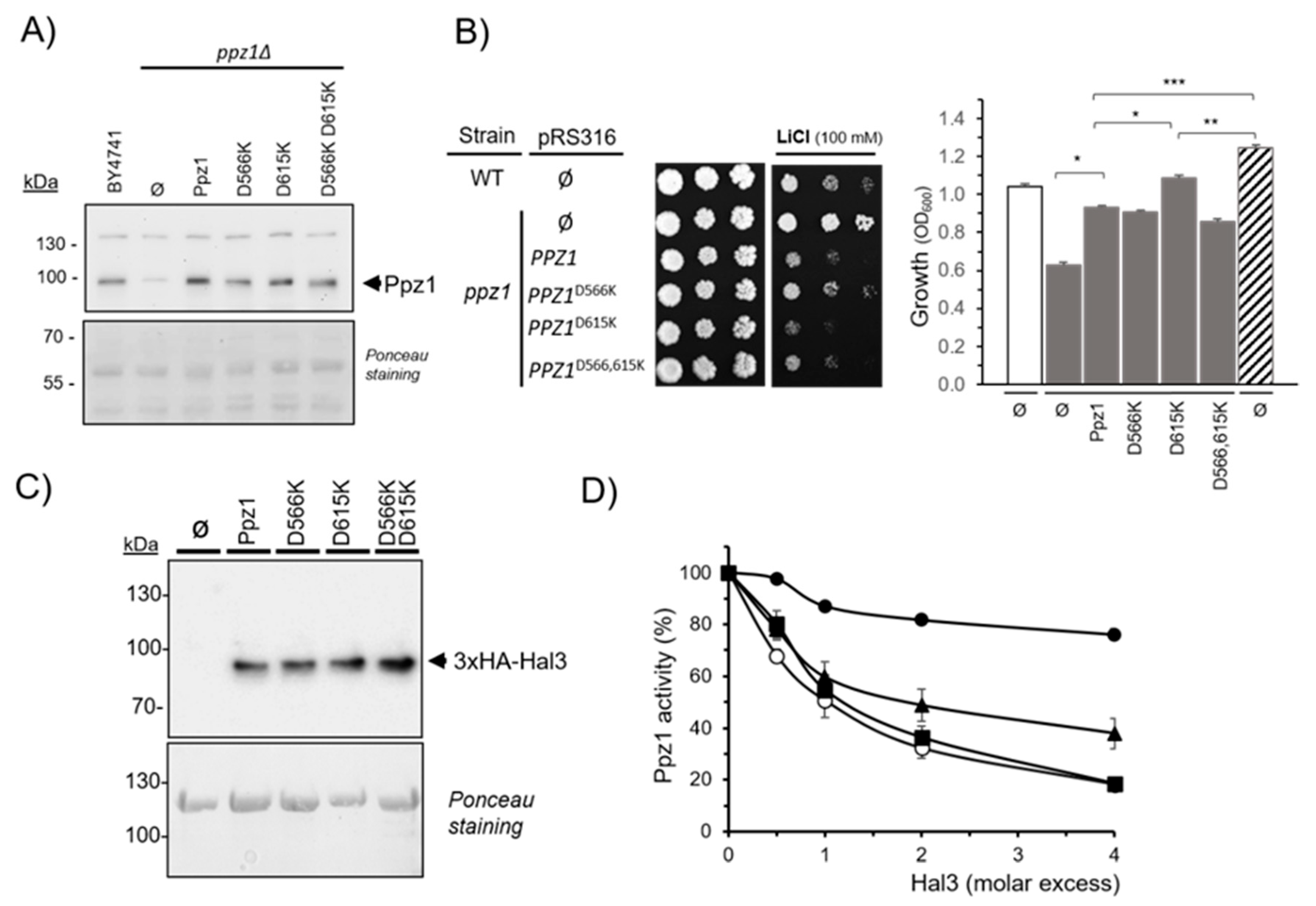 Ijms 23 01327 g007 550