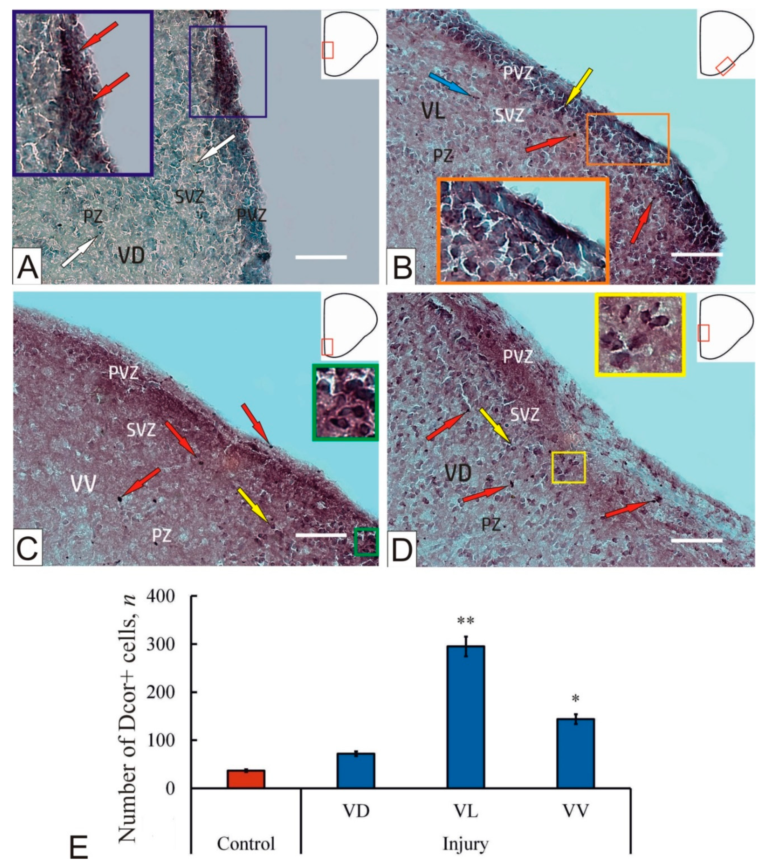 Ijms 23 01334 g001 550