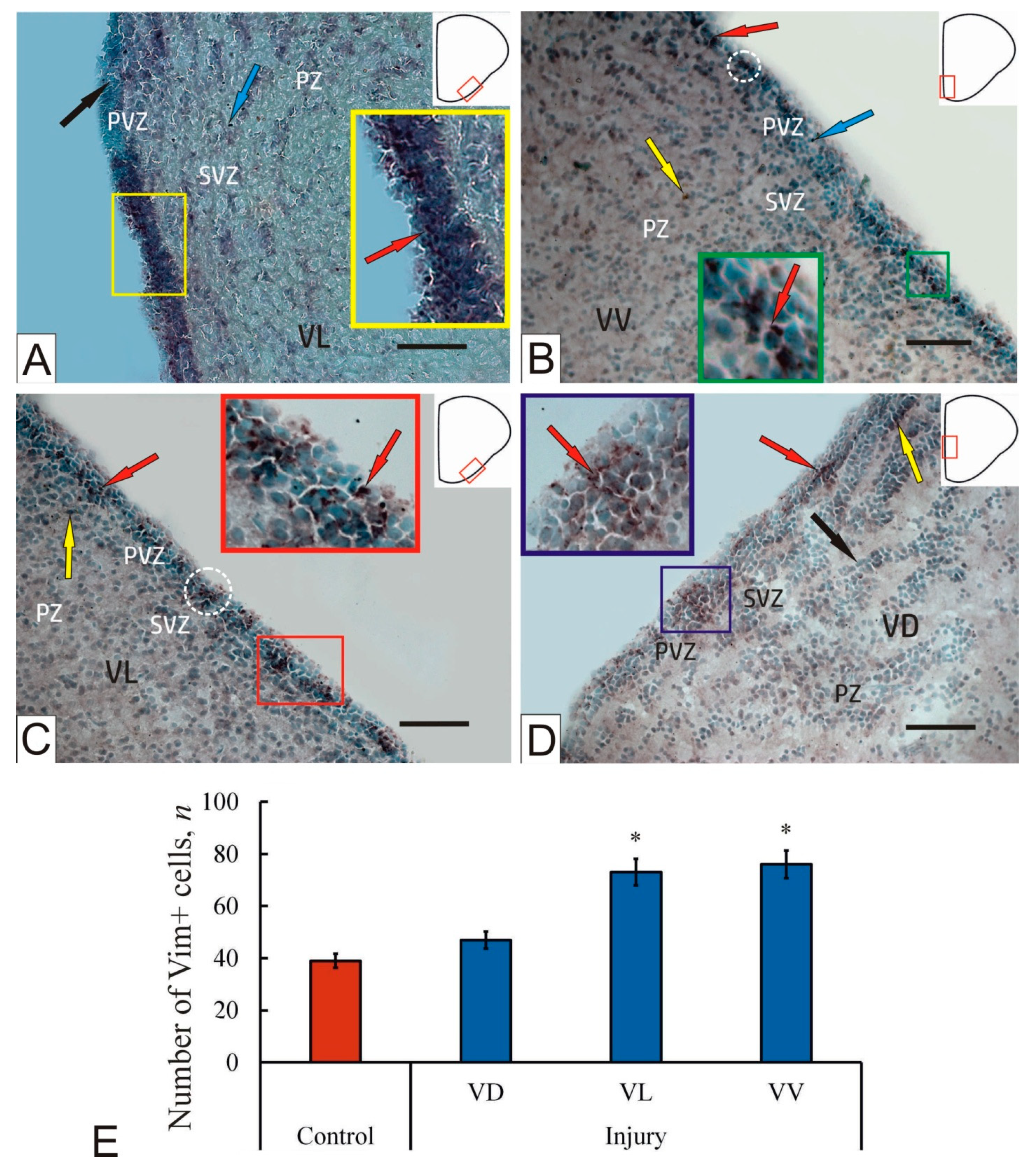 Ijms 23 01334 g003 550
