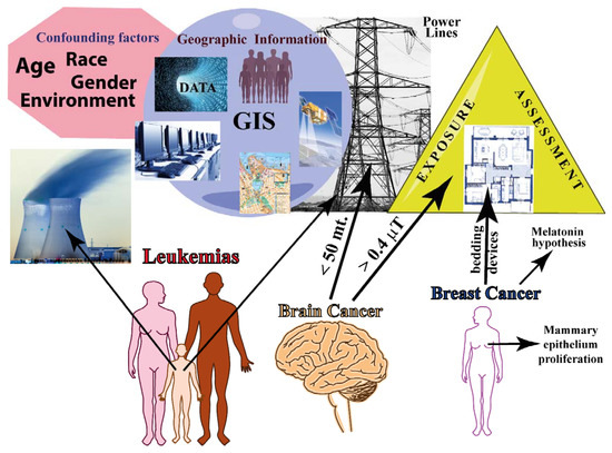 Magnetic Fields and Cancer: Epidemiology, Cellular Biology