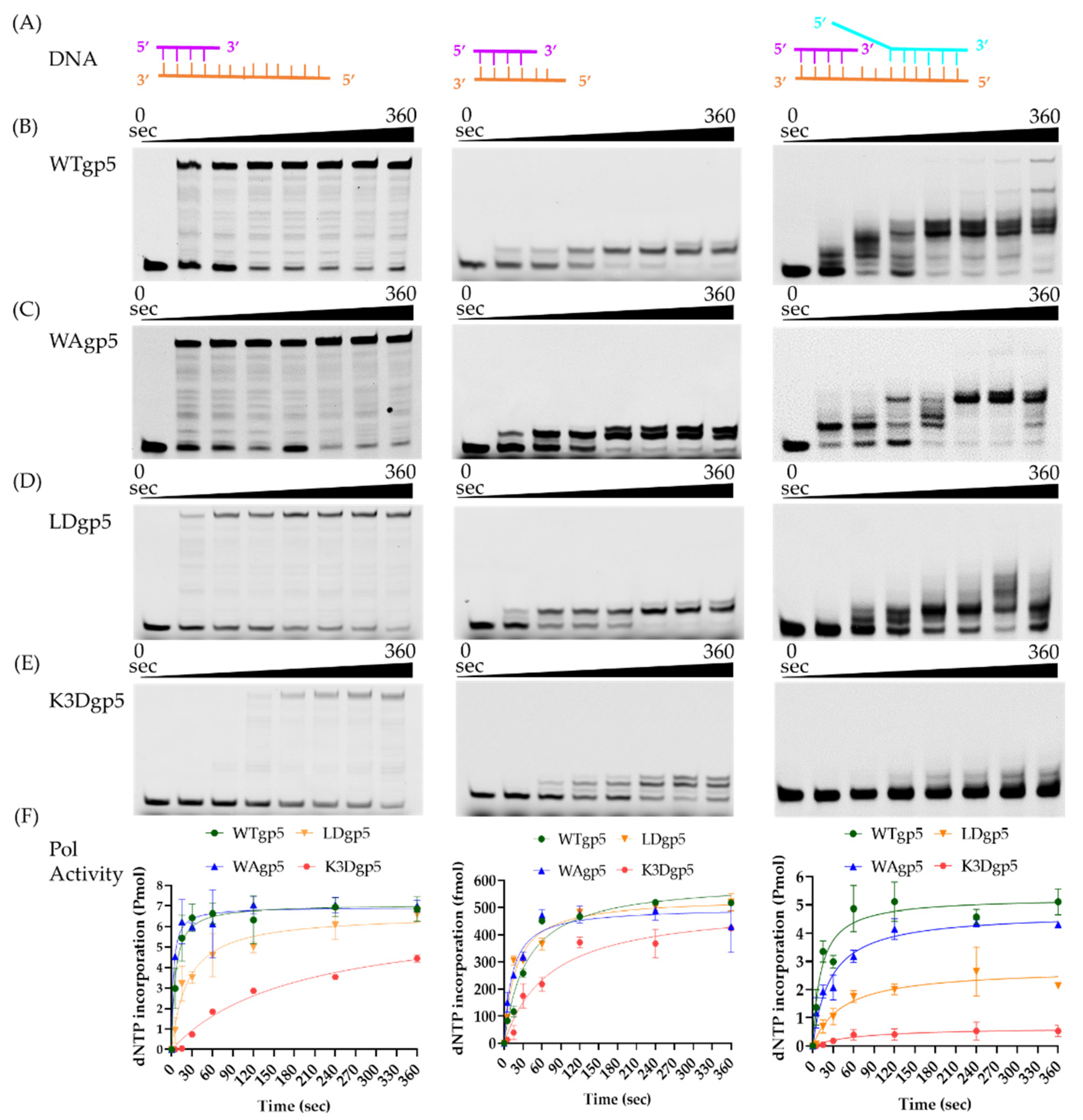 Ijms 23 01342 g002 550