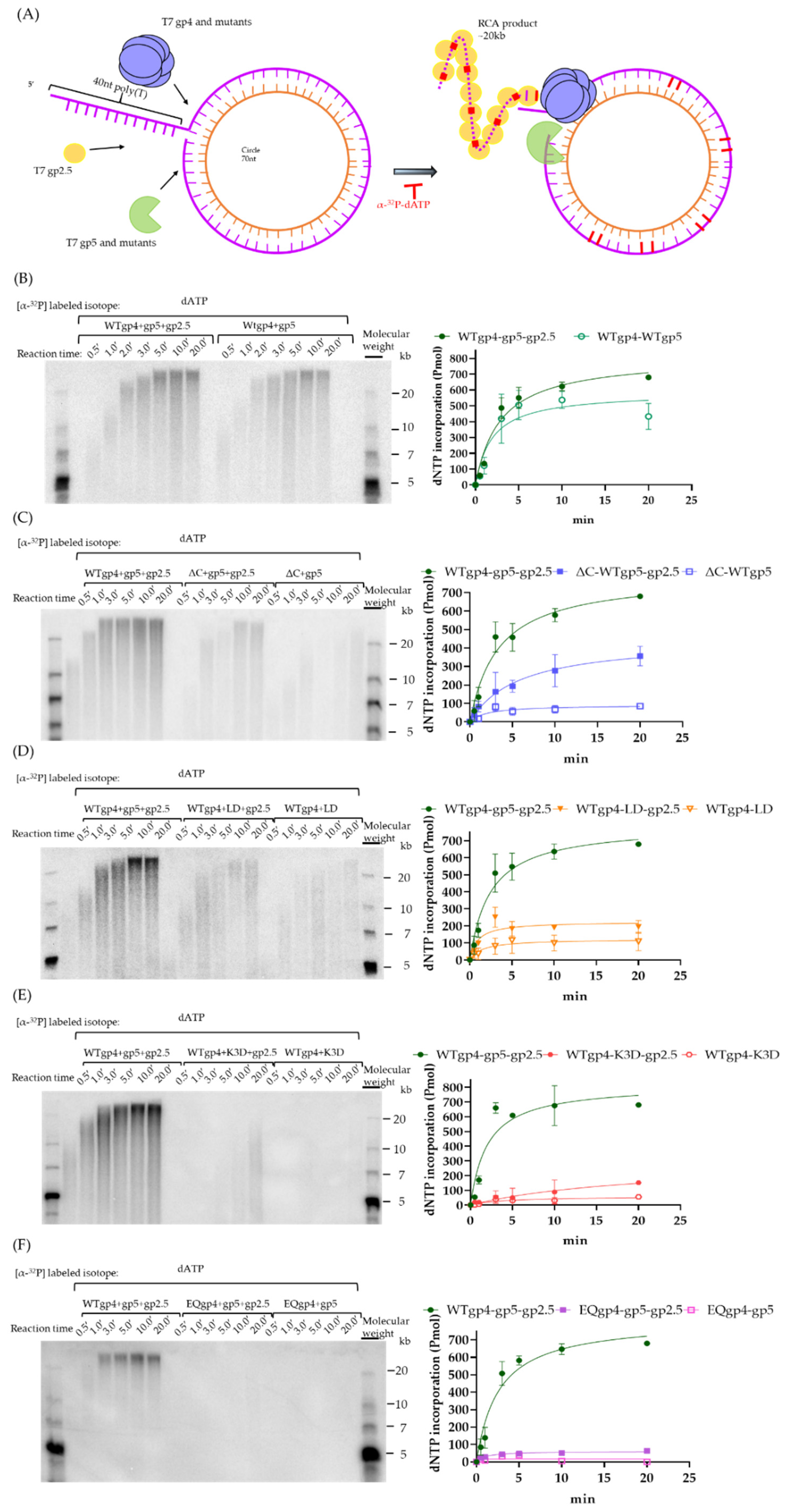 Ijms 23 01342 g006 550