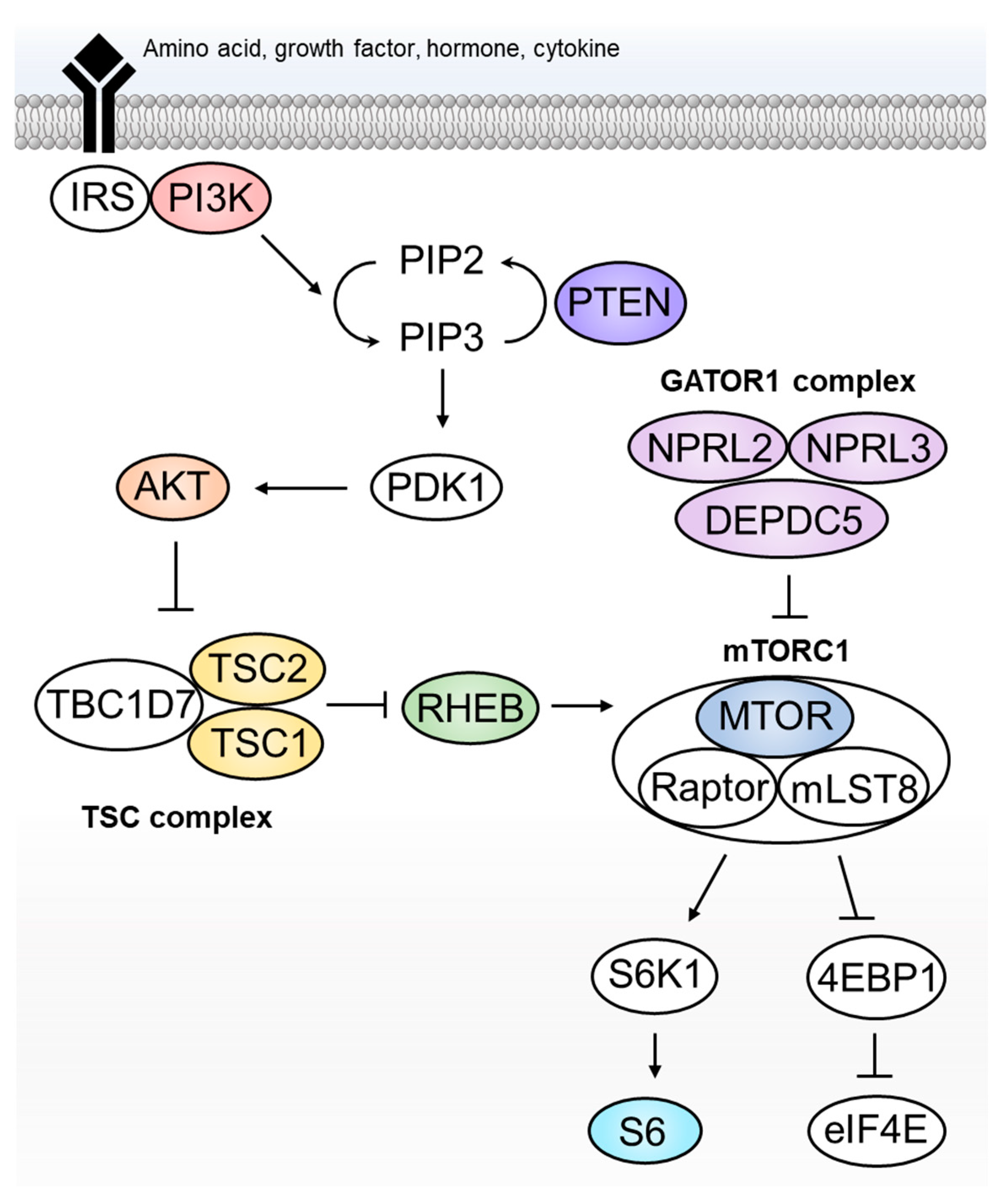 Ijms 23 01344 g001 Ijms 23 01344 g001