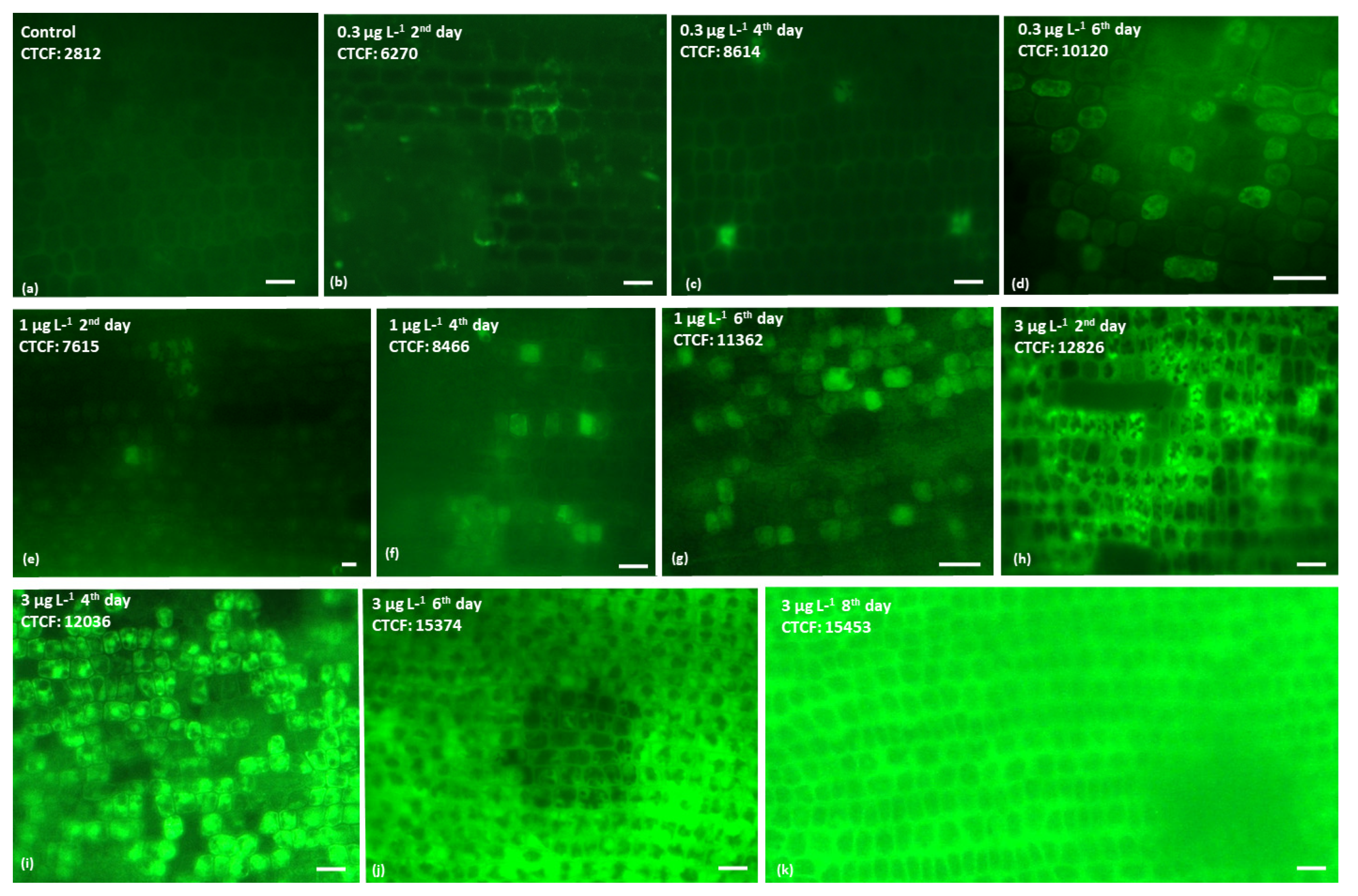 Ijms 23 01348 g001 550