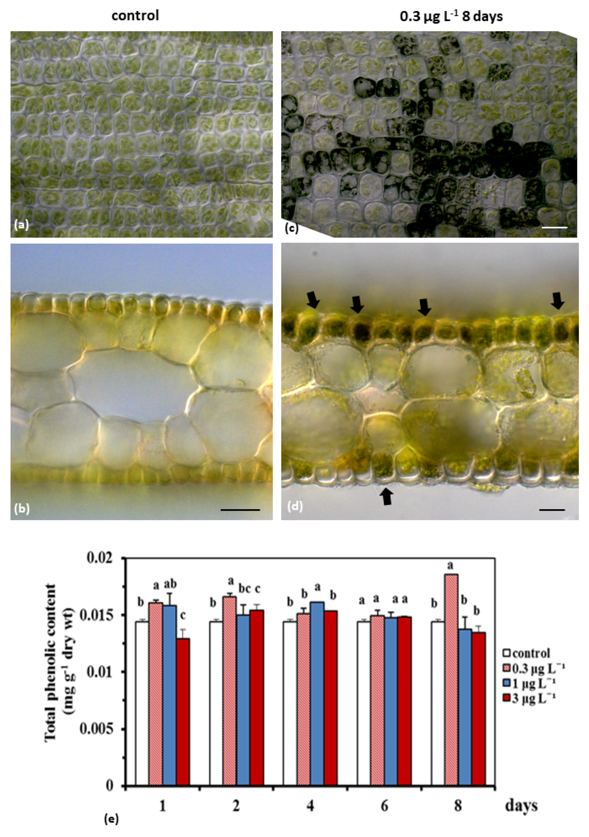 Ijms 23 01348 g004 550