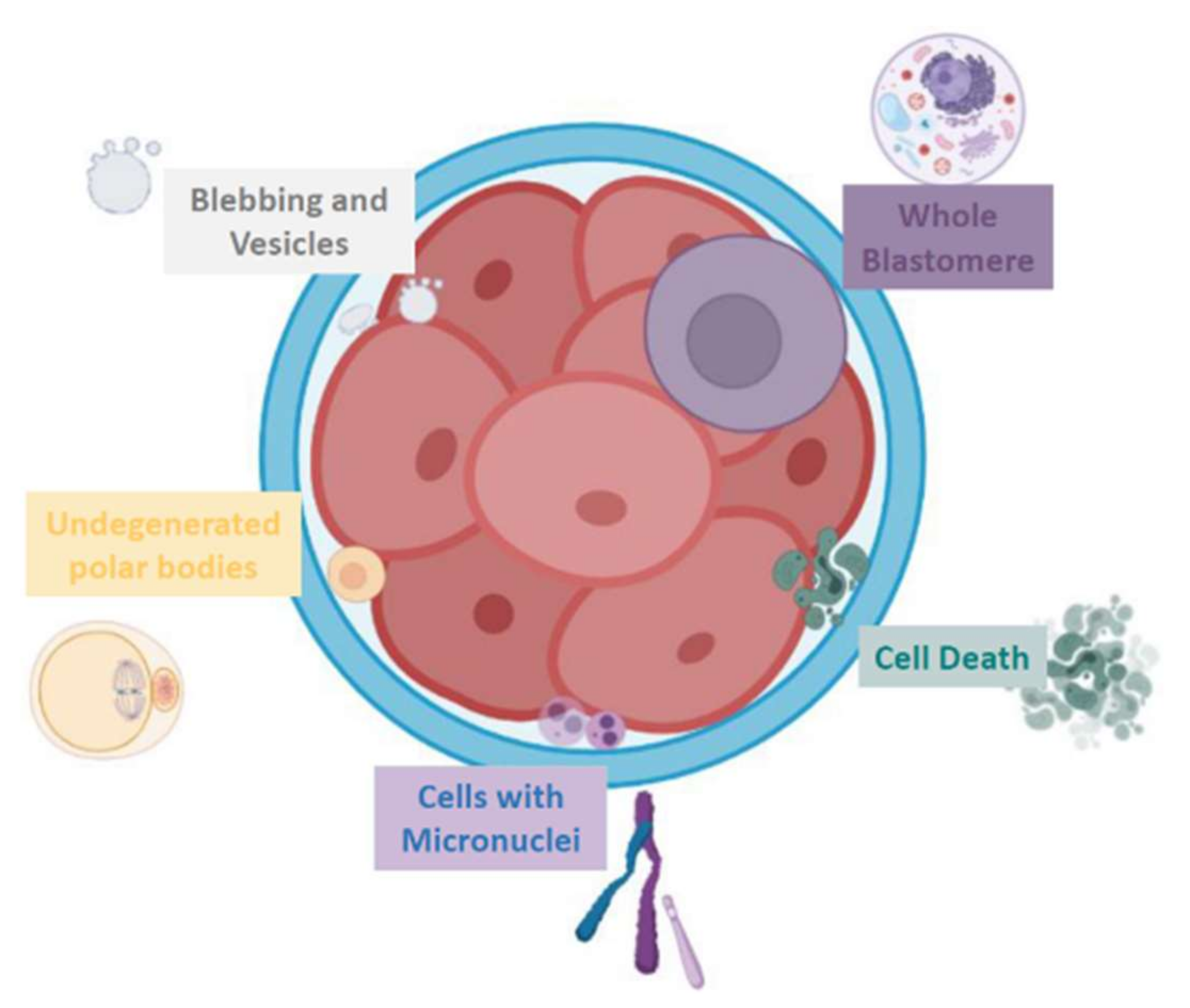 Ijms 23 01349 g001 Ijms 23 01349 g001