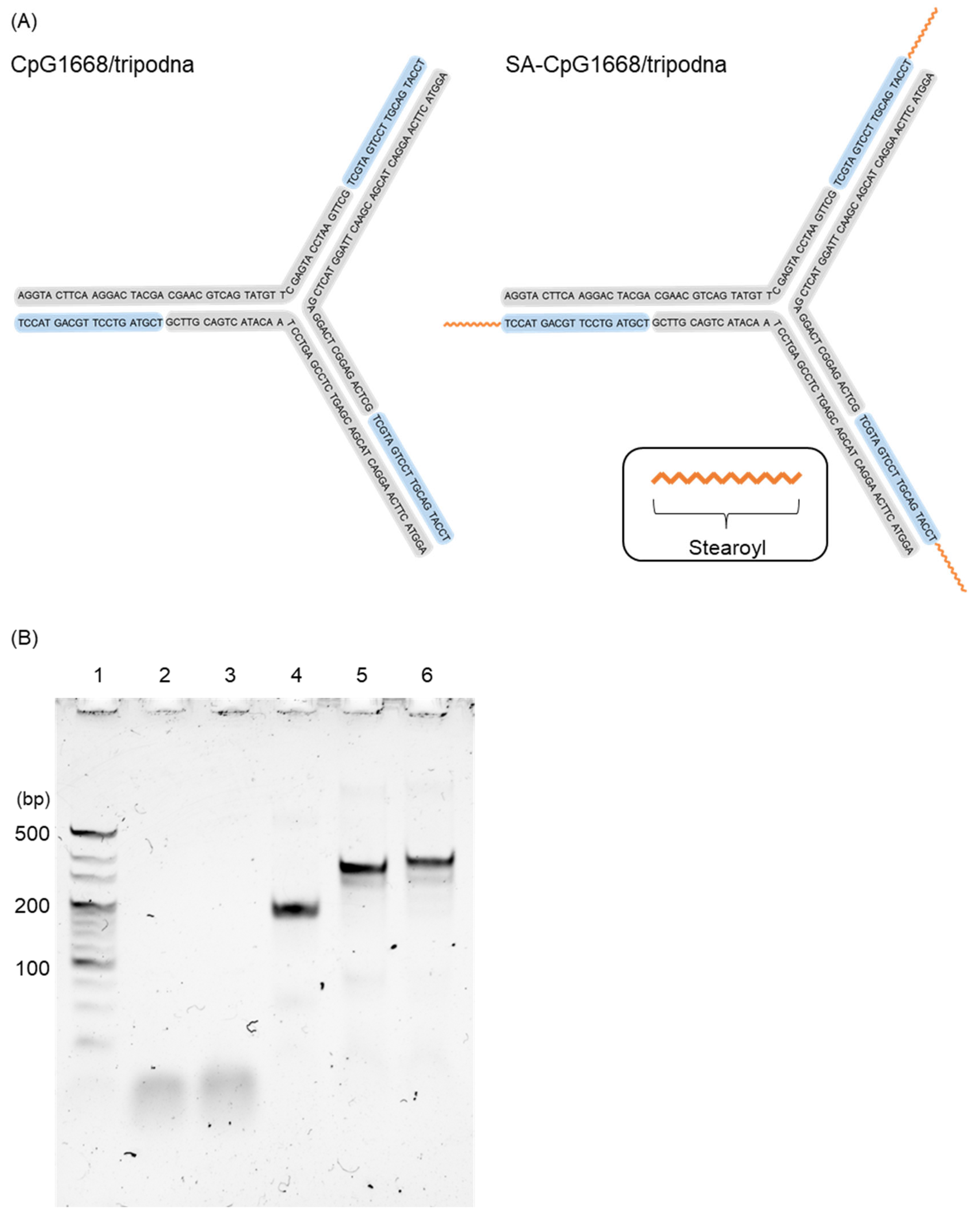 Ijms 23 01350 g003 550
