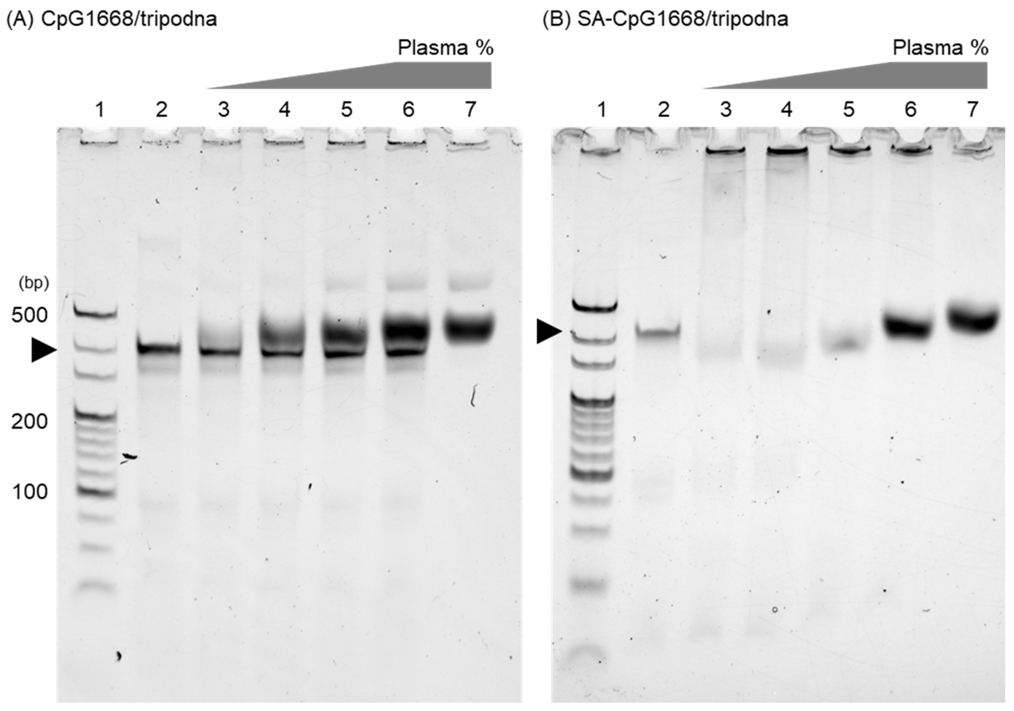 Ijms 23 01350 g004 550