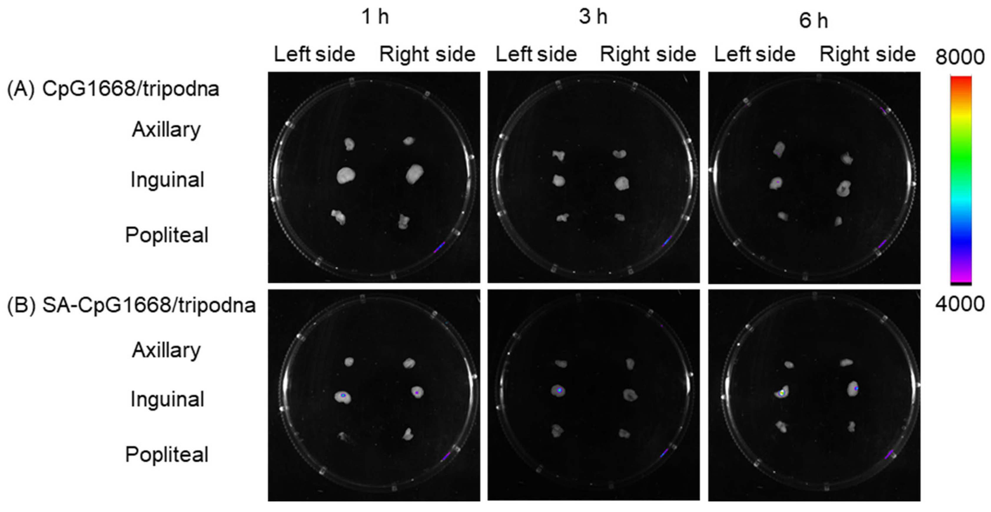Ijms 23 01350 g009 550