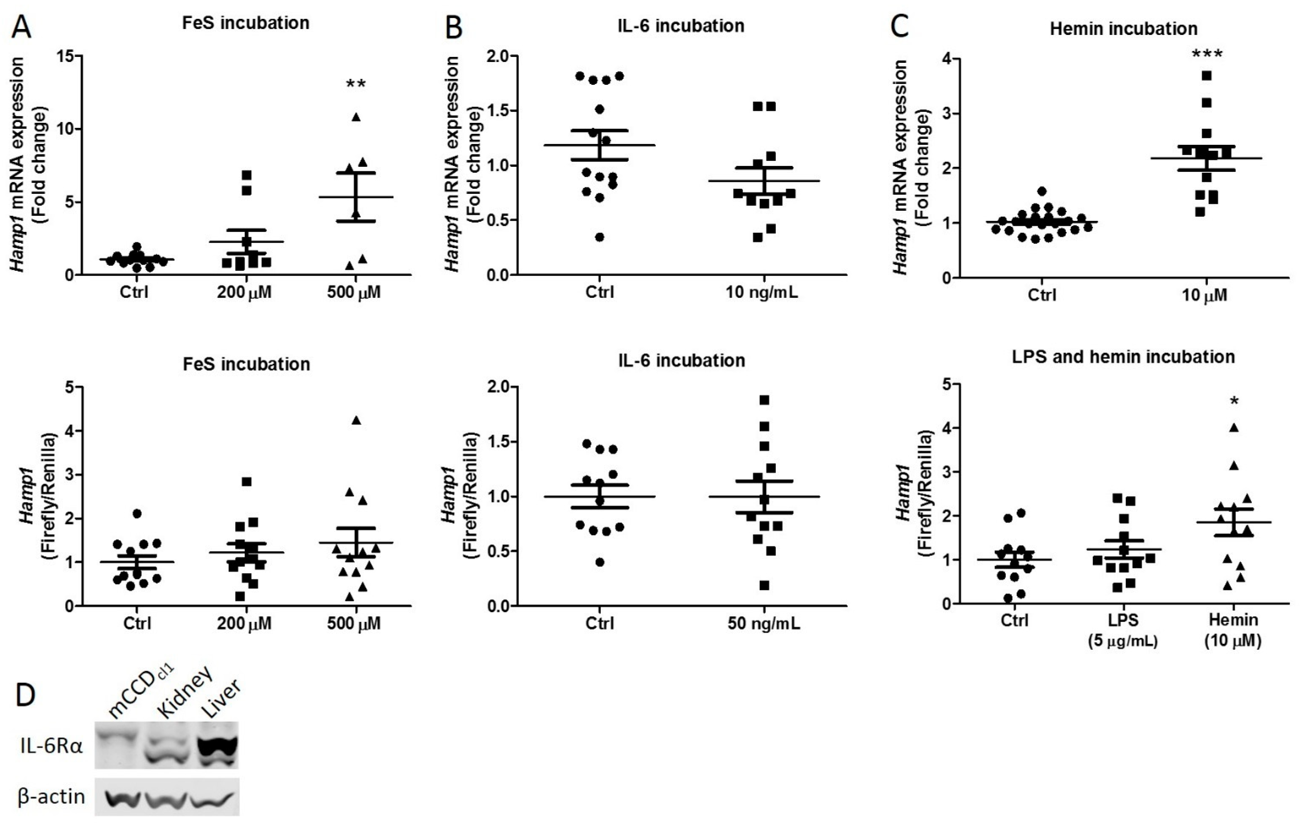 Ijms 23 01352 g001 550