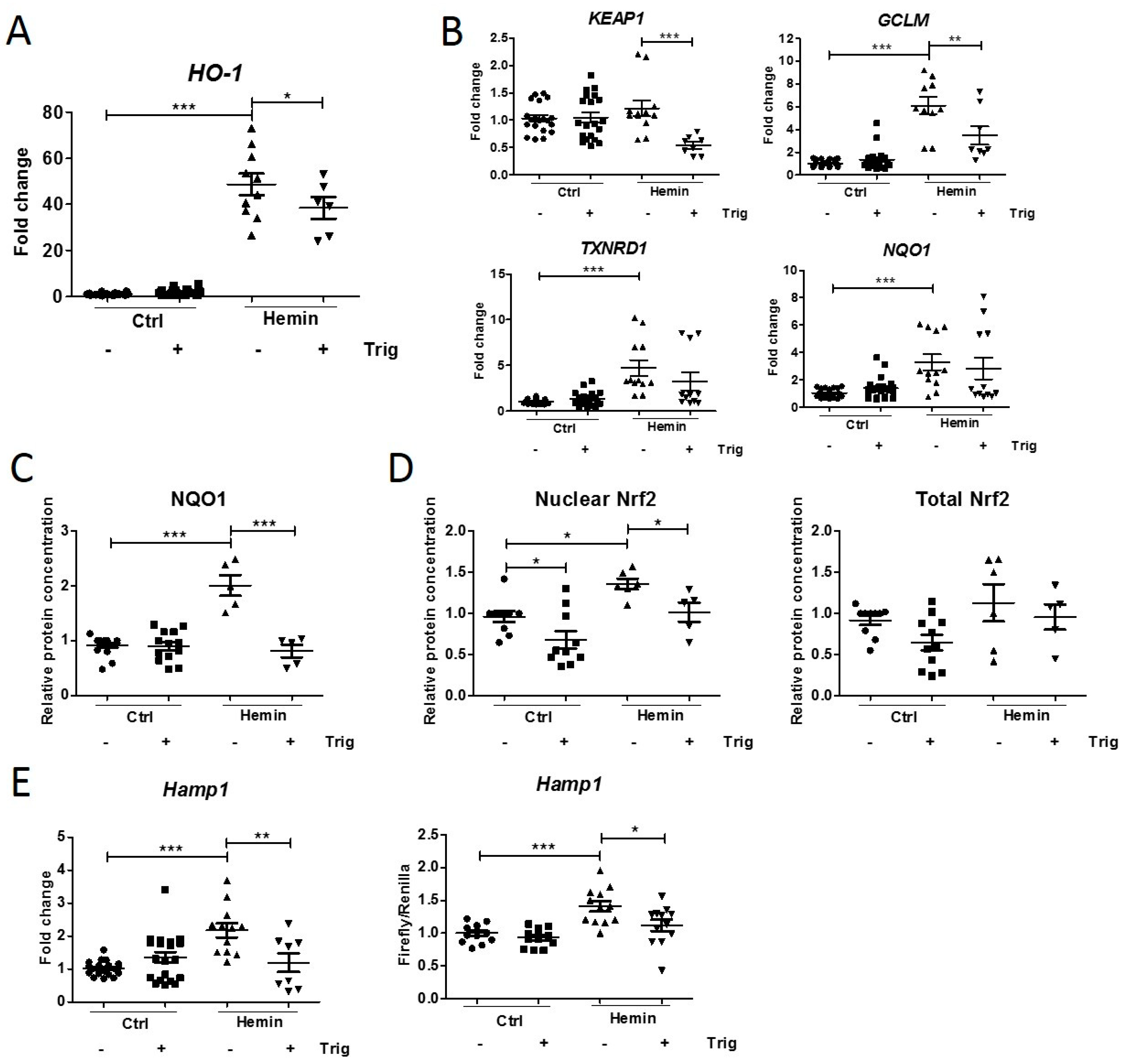 Ijms 23 01352 g002 550