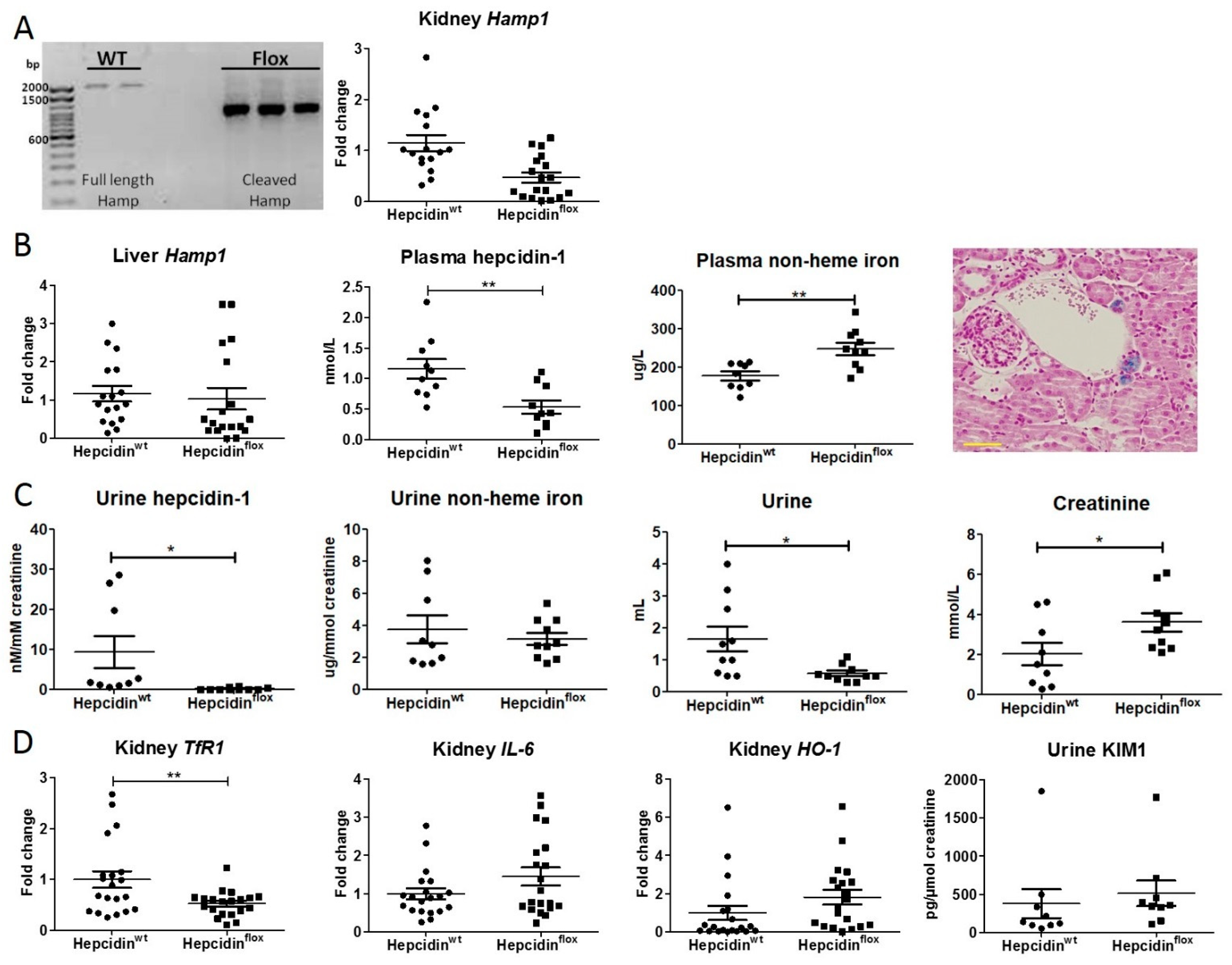 Ijms 23 01352 g003 550