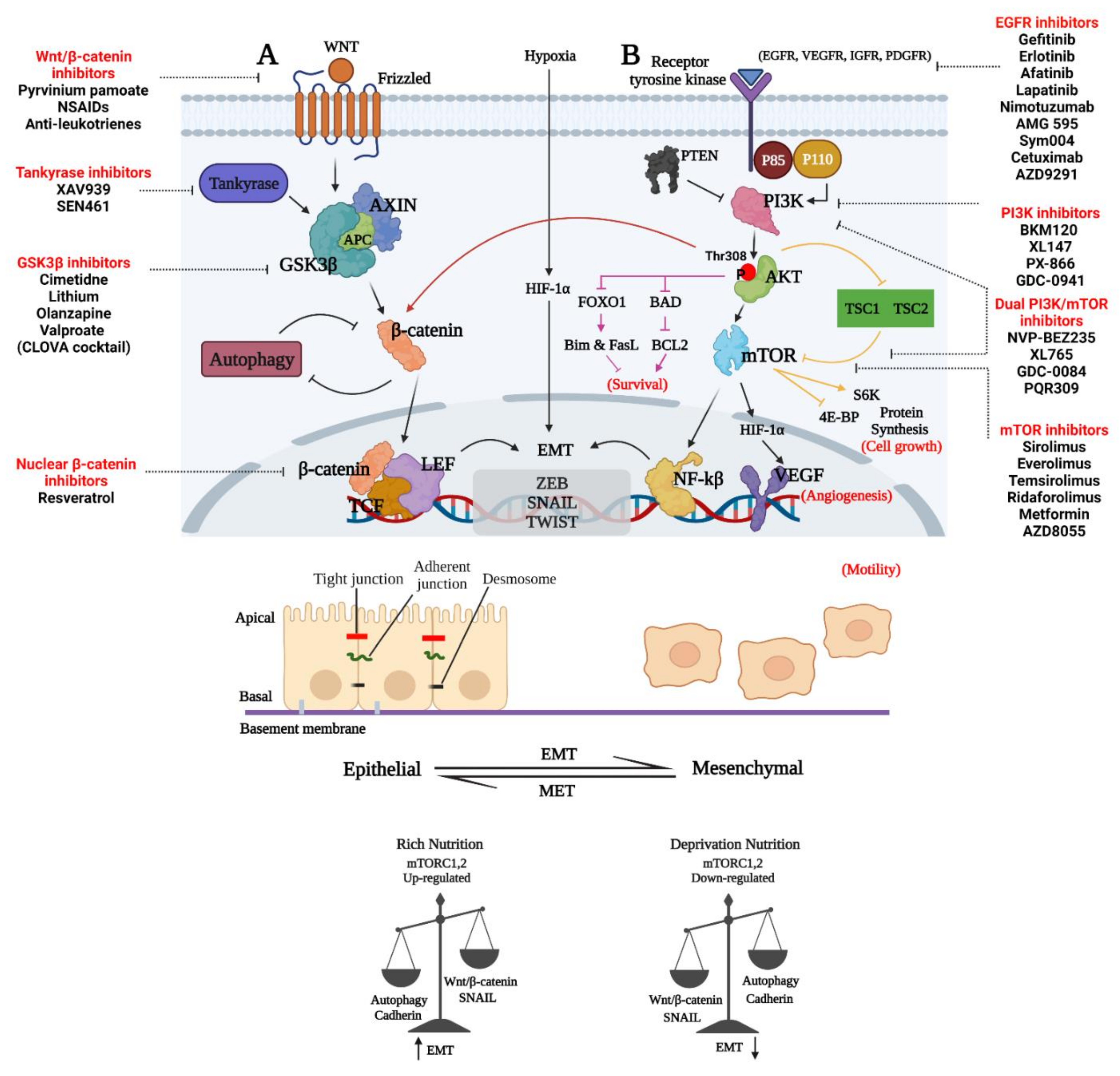 Ijms 23 01353 g003 Ijms 23 01353 g003