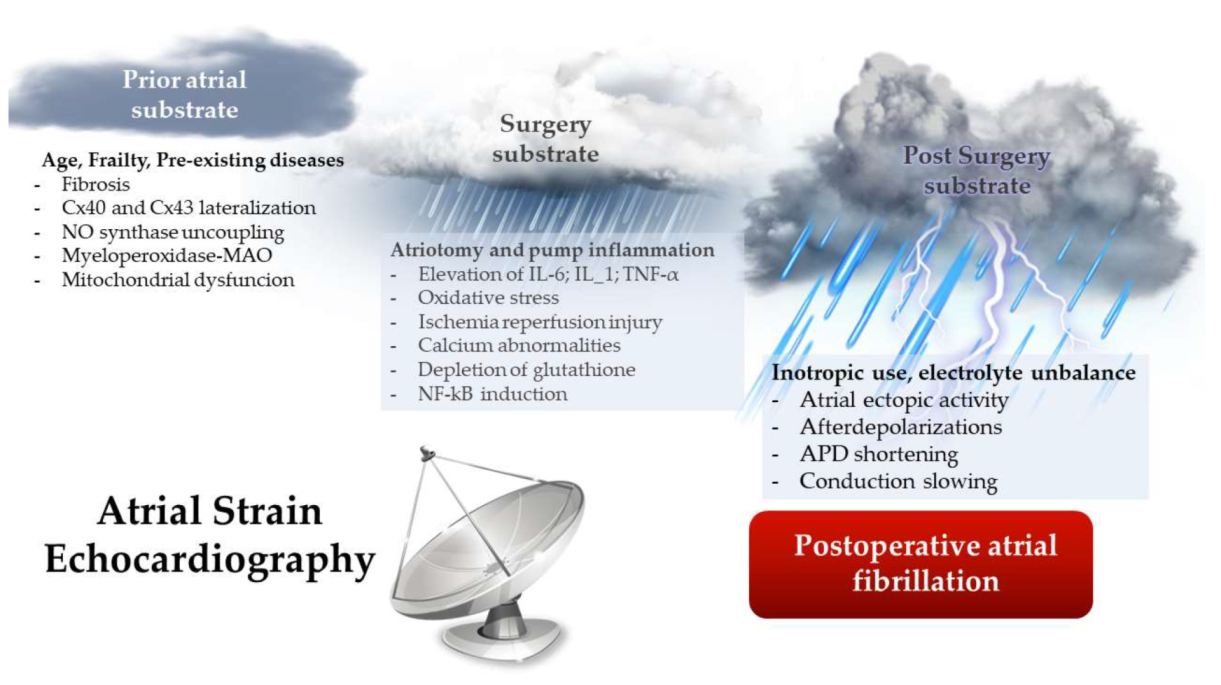 Ijms 23 01355 g001 Ijms 23 01355 g001