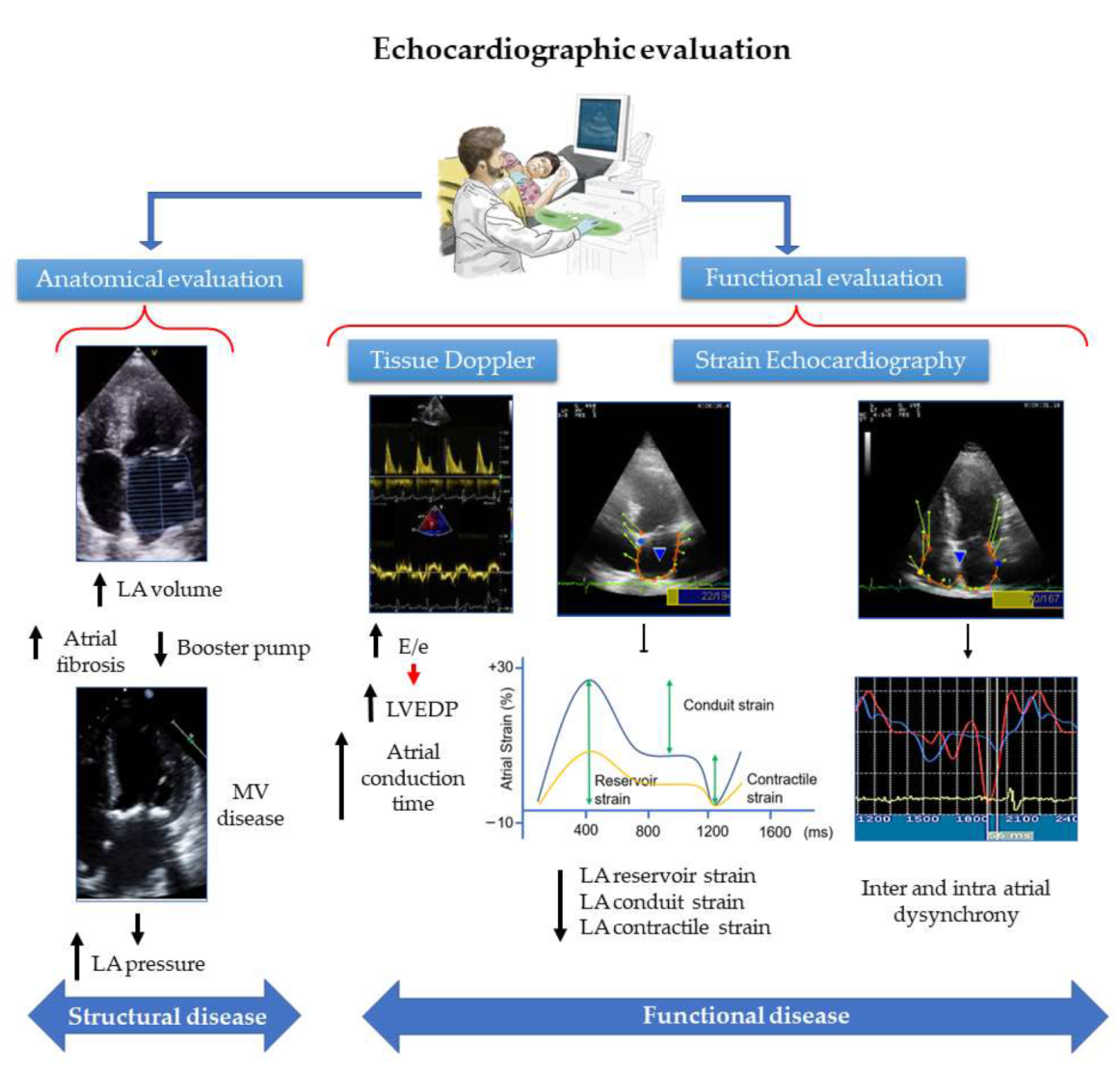Ijms 23 01355 g003 Ijms 23 01355 g003