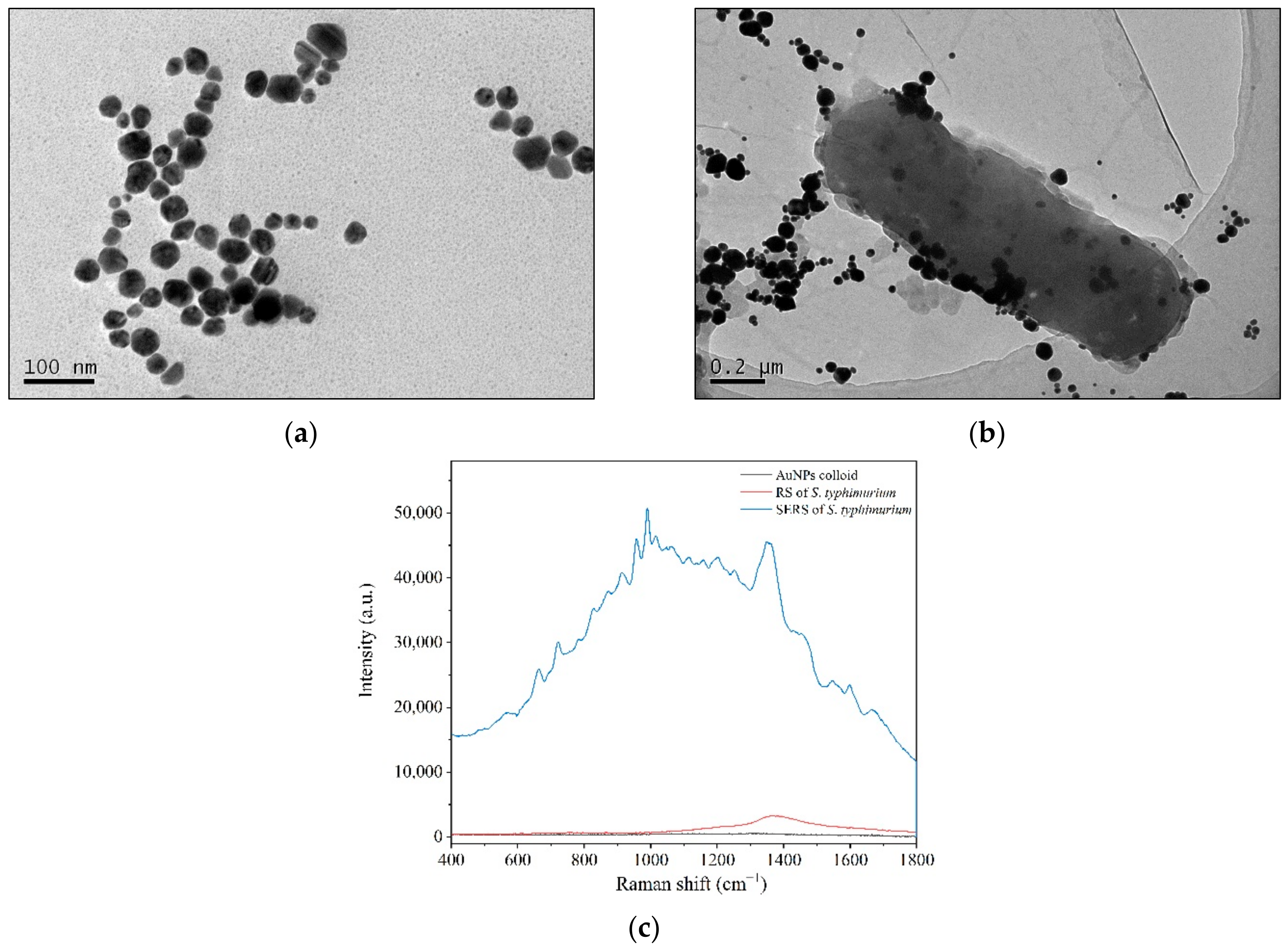 Ijms 23 01356 g002 Ijms 23 01356 g002