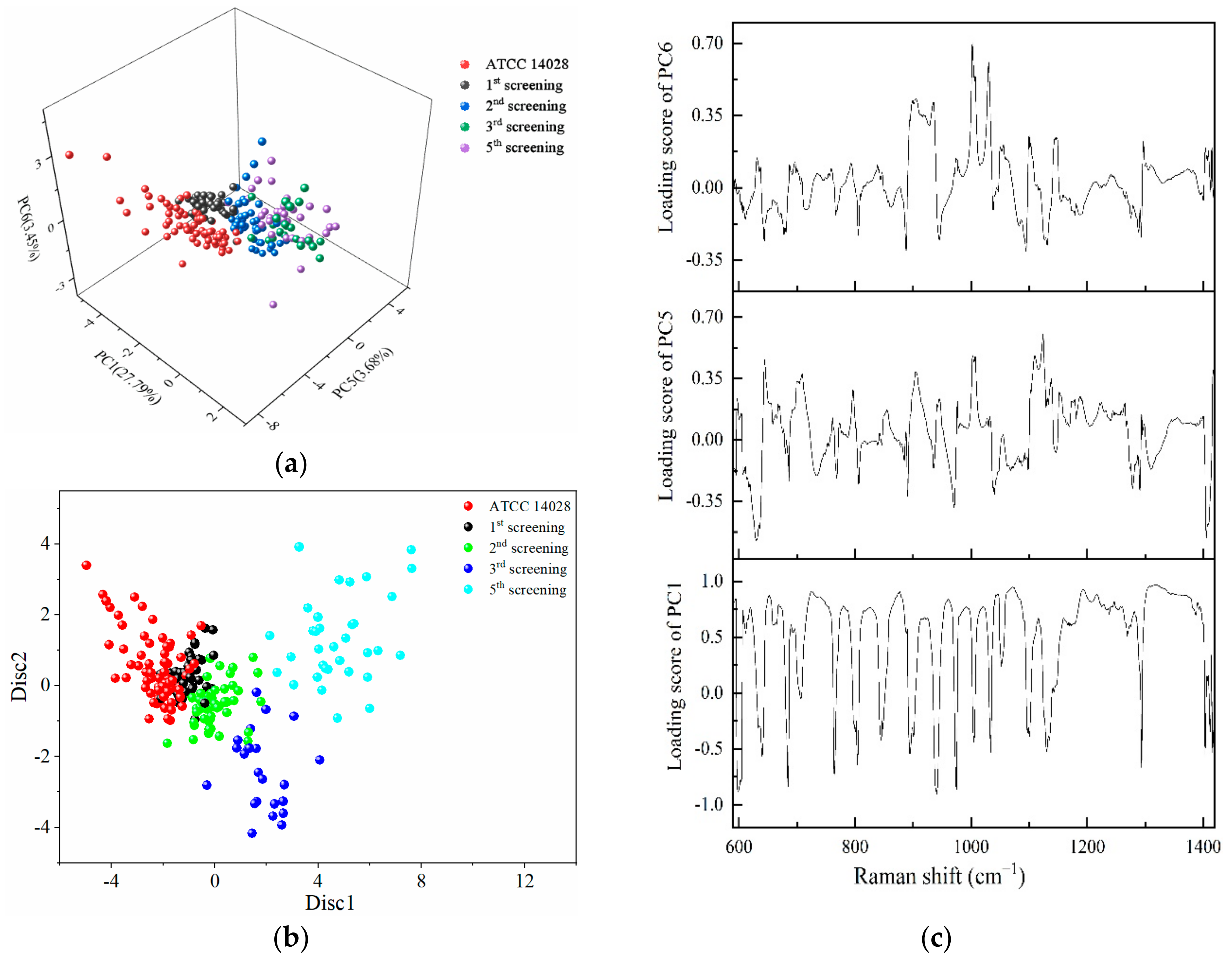 Ijms 23 01356 g005 Ijms 23 01356 g005