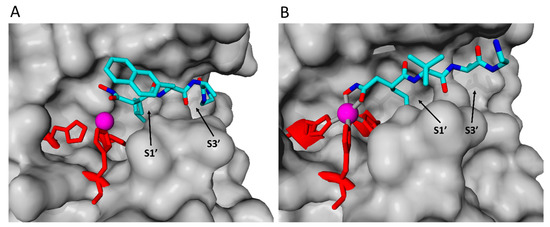 MH In Silico and Experimental ADAM17 Kinetic Modeling as Basis