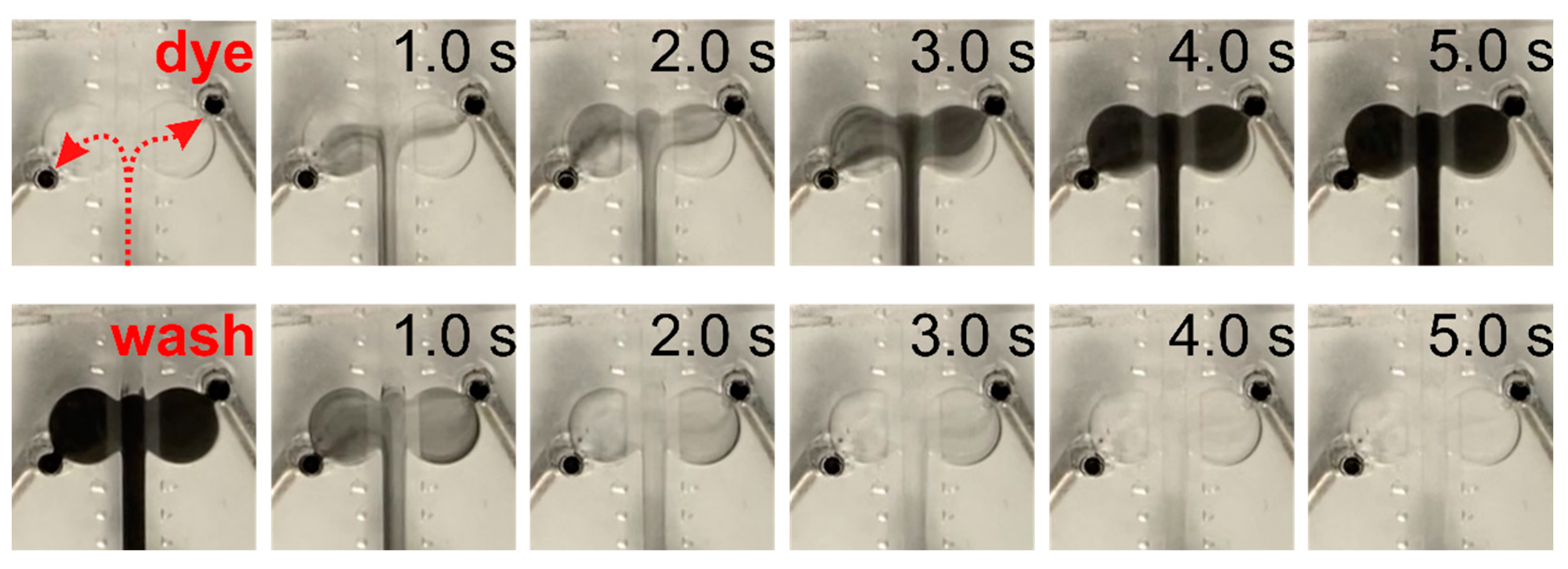 Ijms 23 01370 g004 550