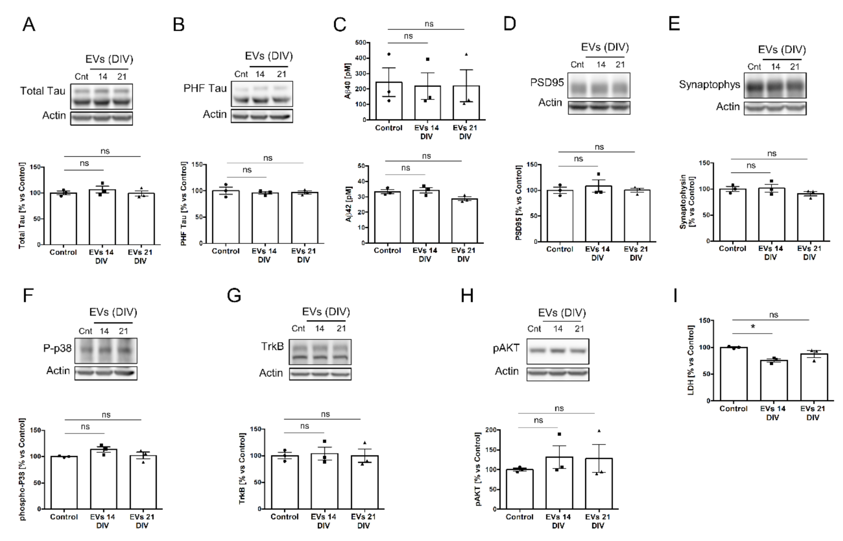 Ijms 23 01371 g003 550