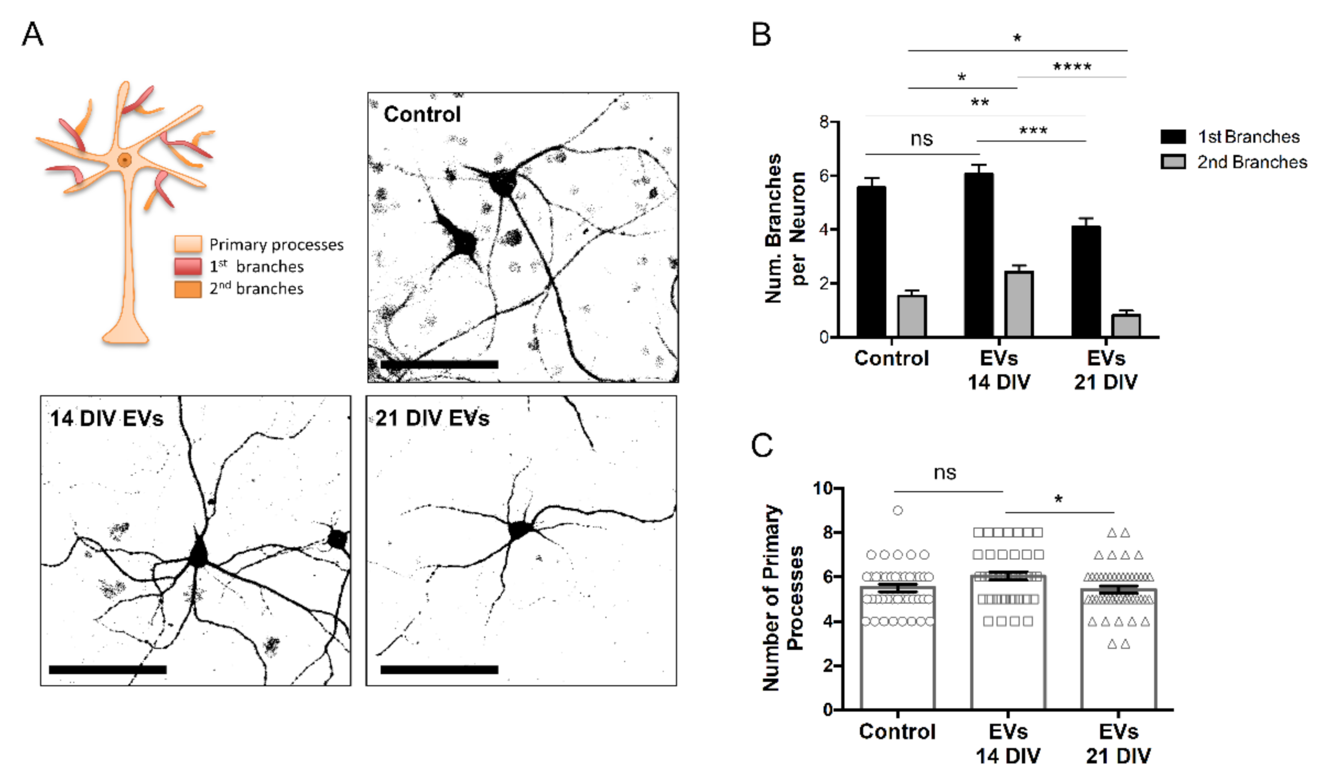 Ijms 23 01371 g005 550