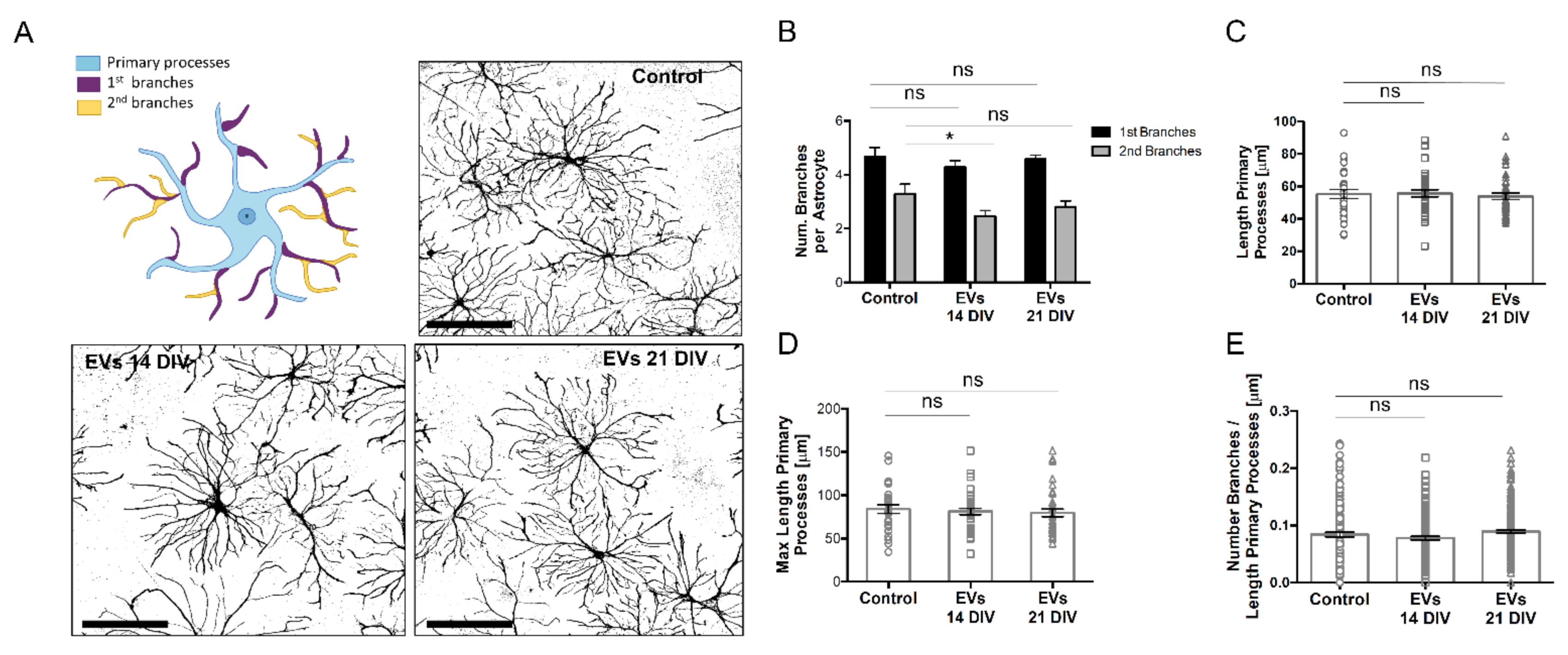 Ijms 23 01371 g007 550