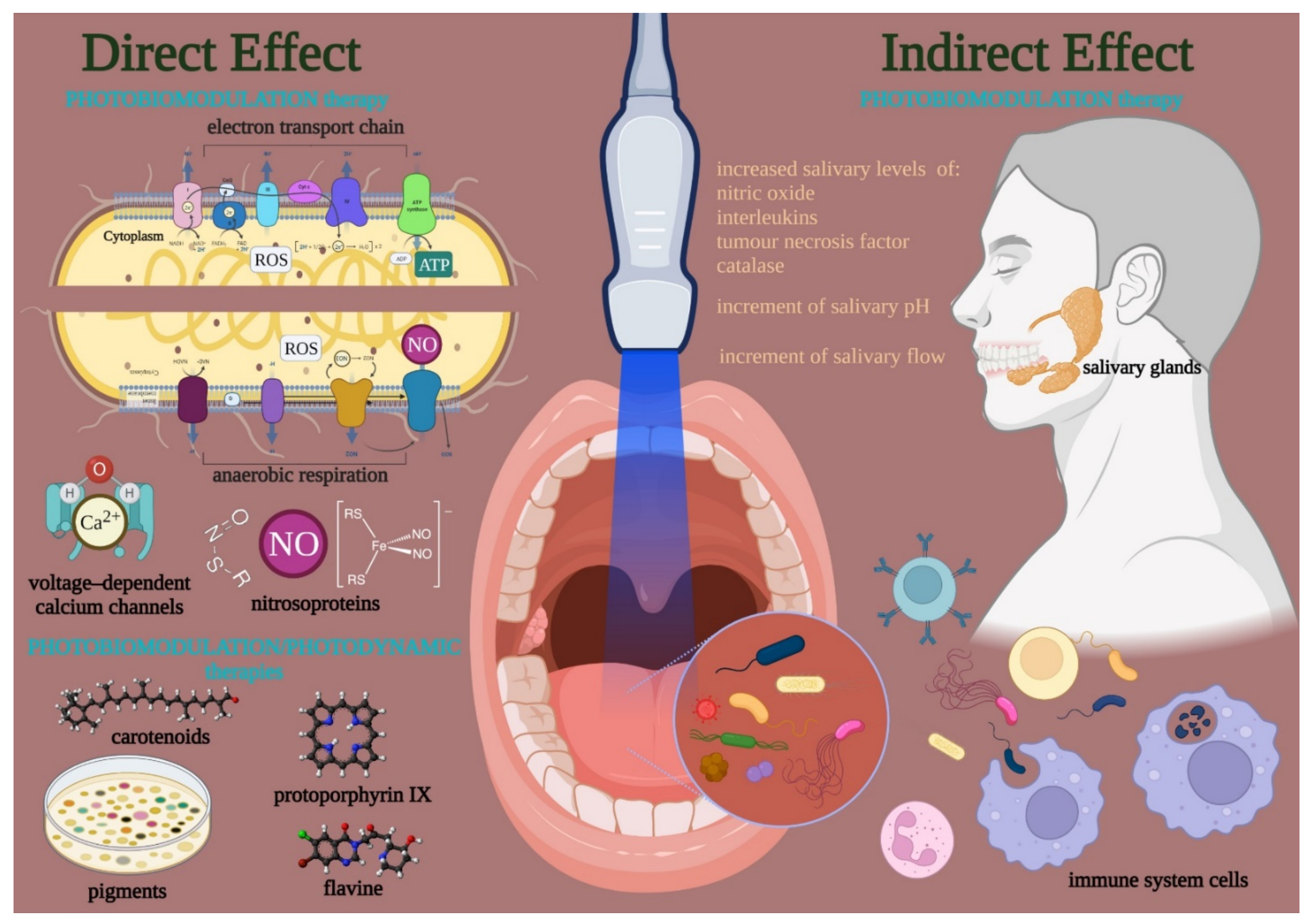 Ijms 23 01372 g002 Ijms 23 01372 g002