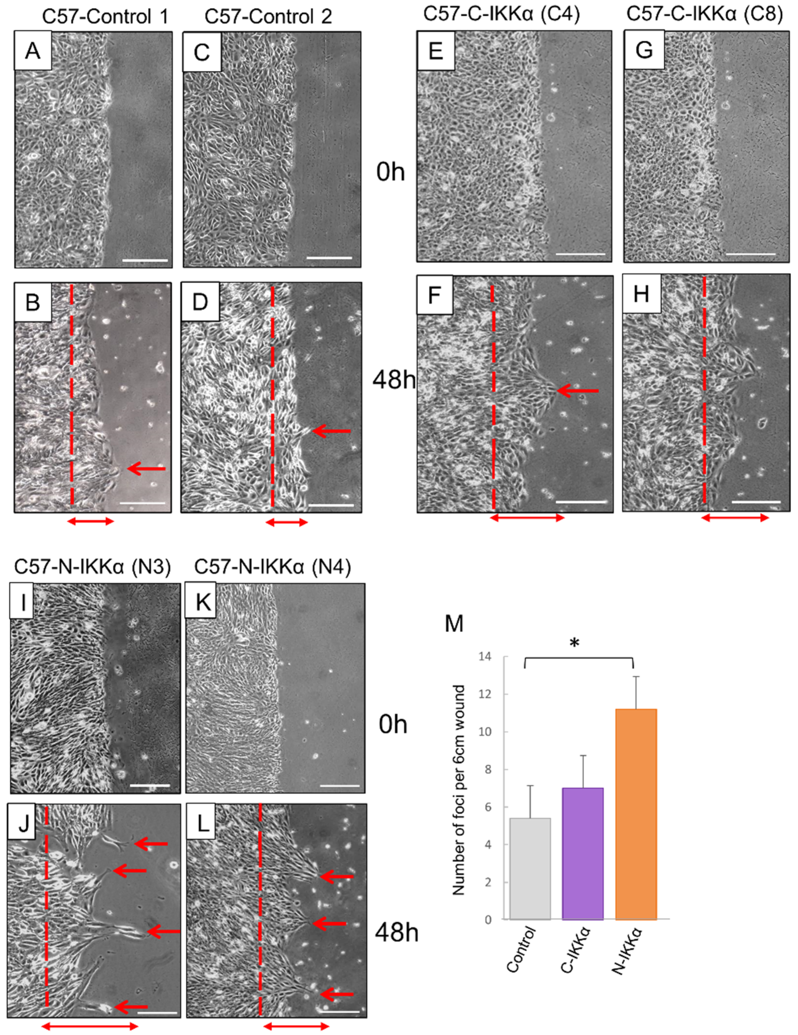 Ijms 23 01375 g004 550