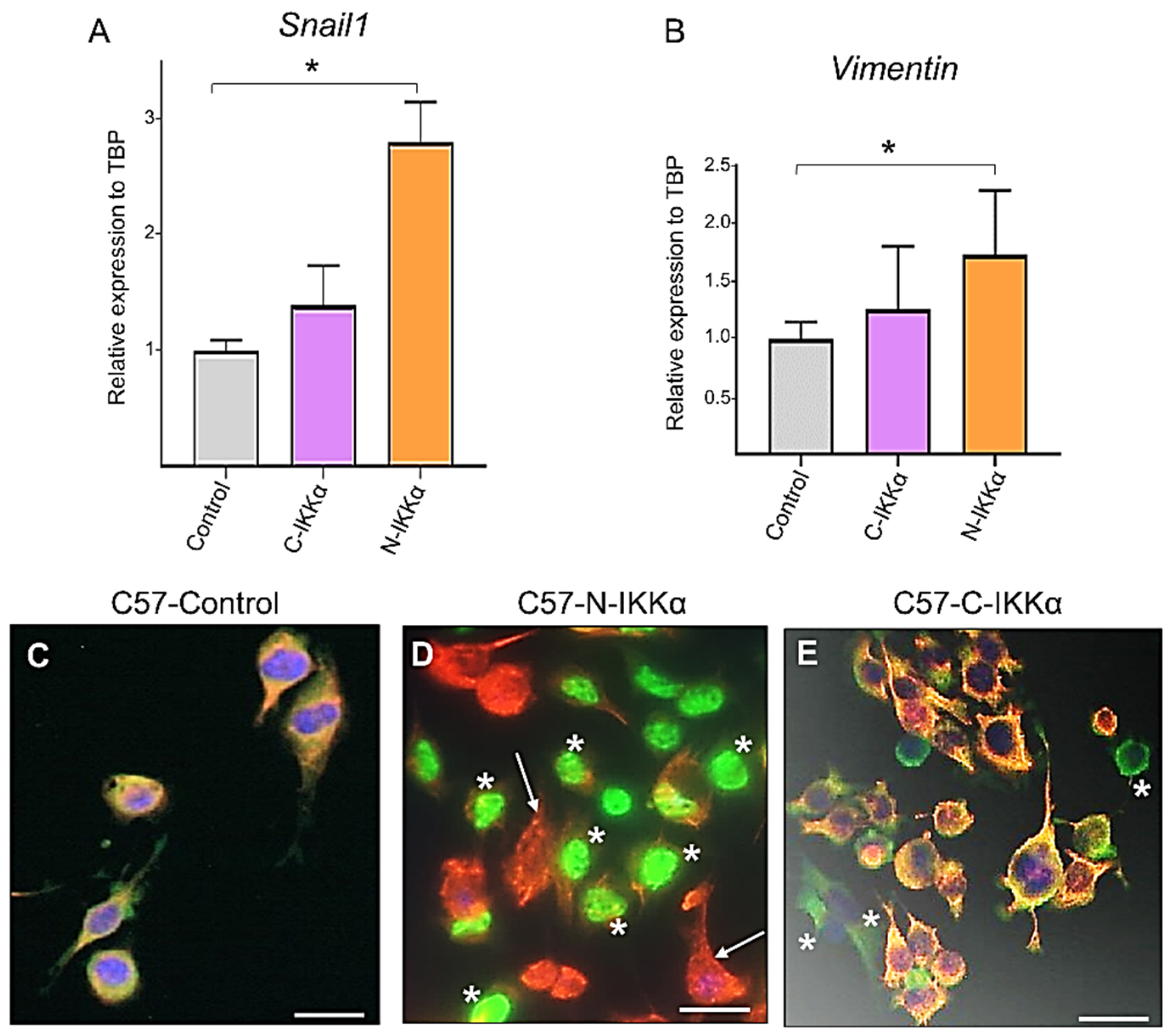 Ijms 23 01375 g005 550