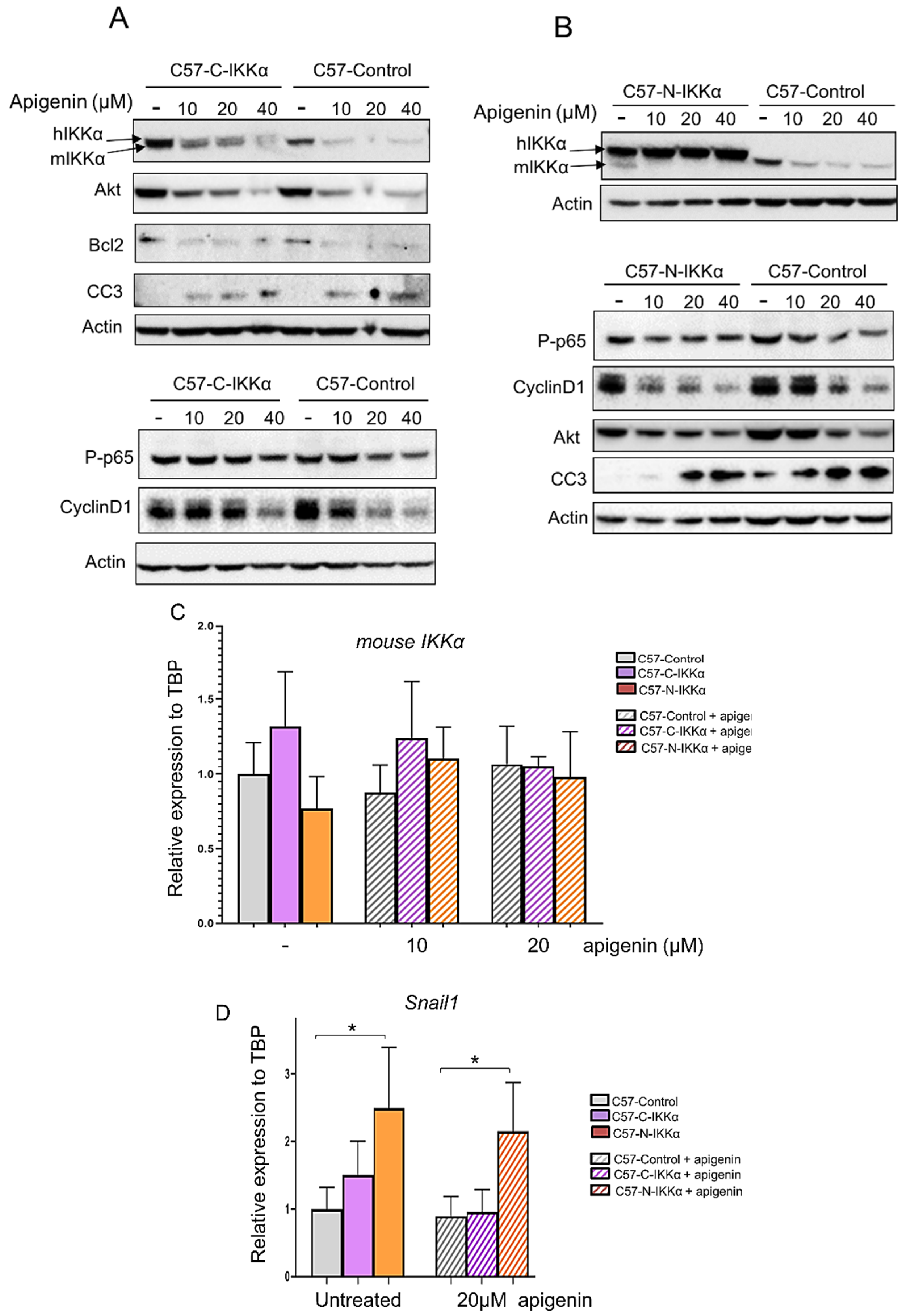 Ijms 23 01375 g009 550
