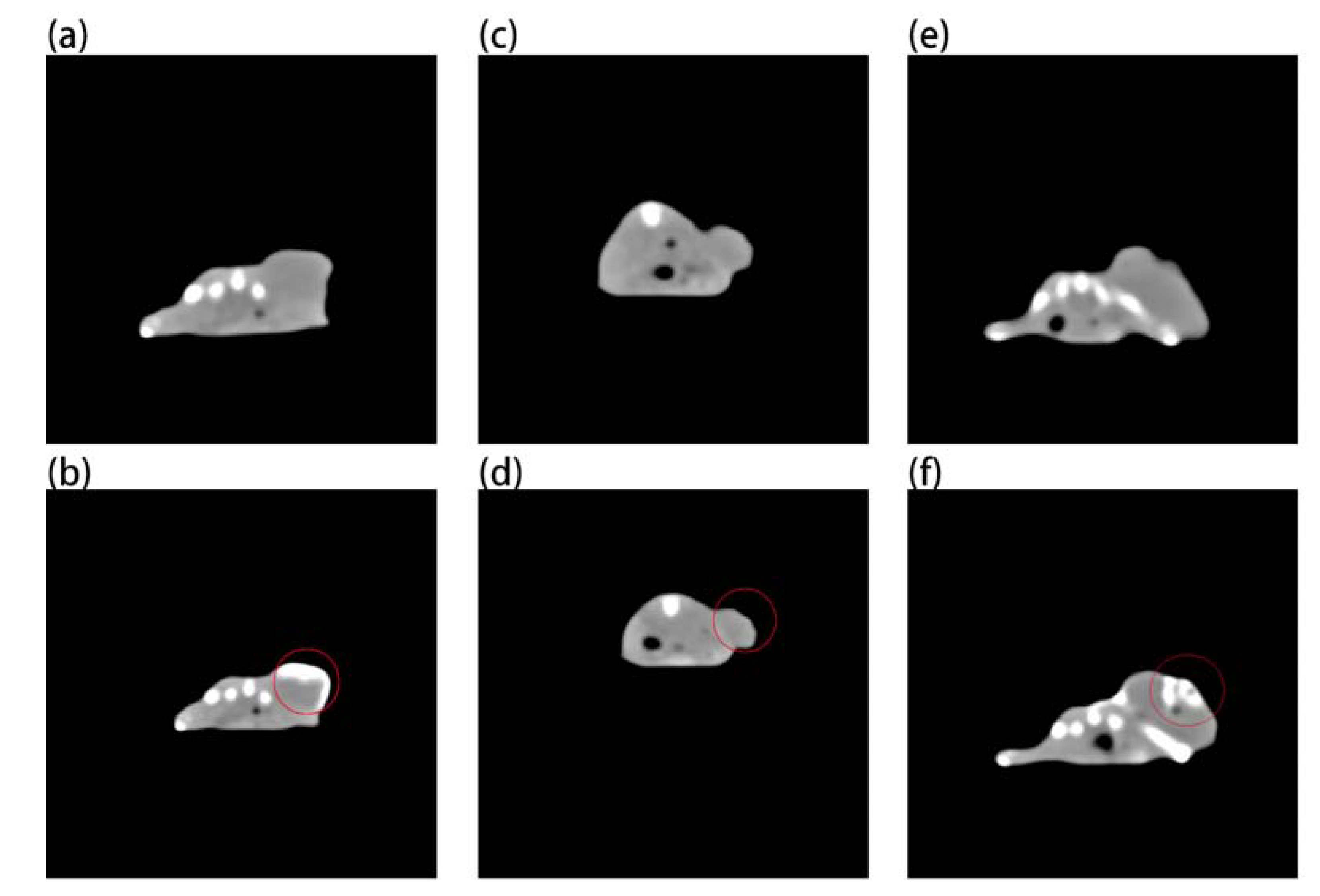 Ijms 23 01382 g007 550