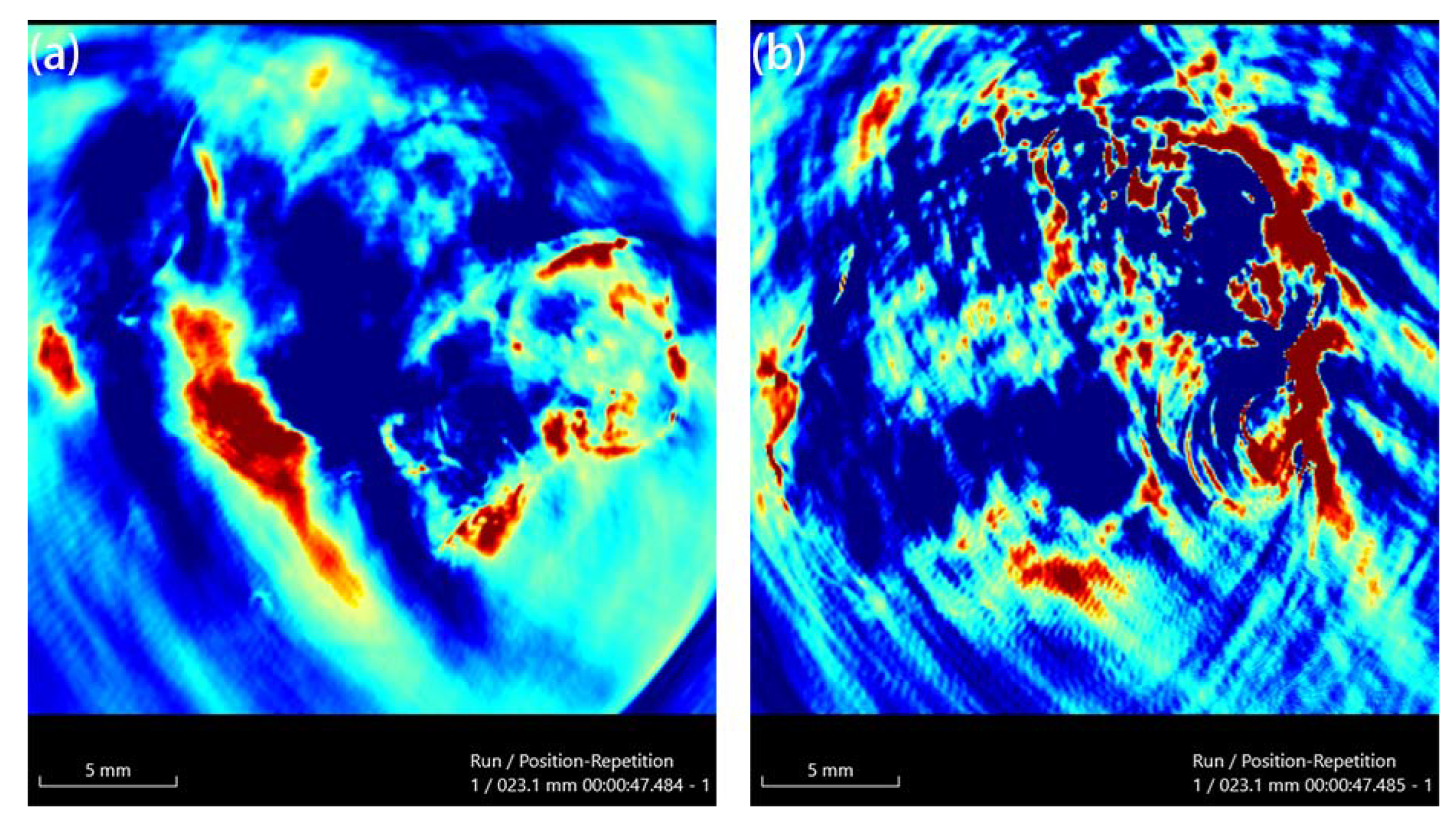Ijms 23 01382 g009 550