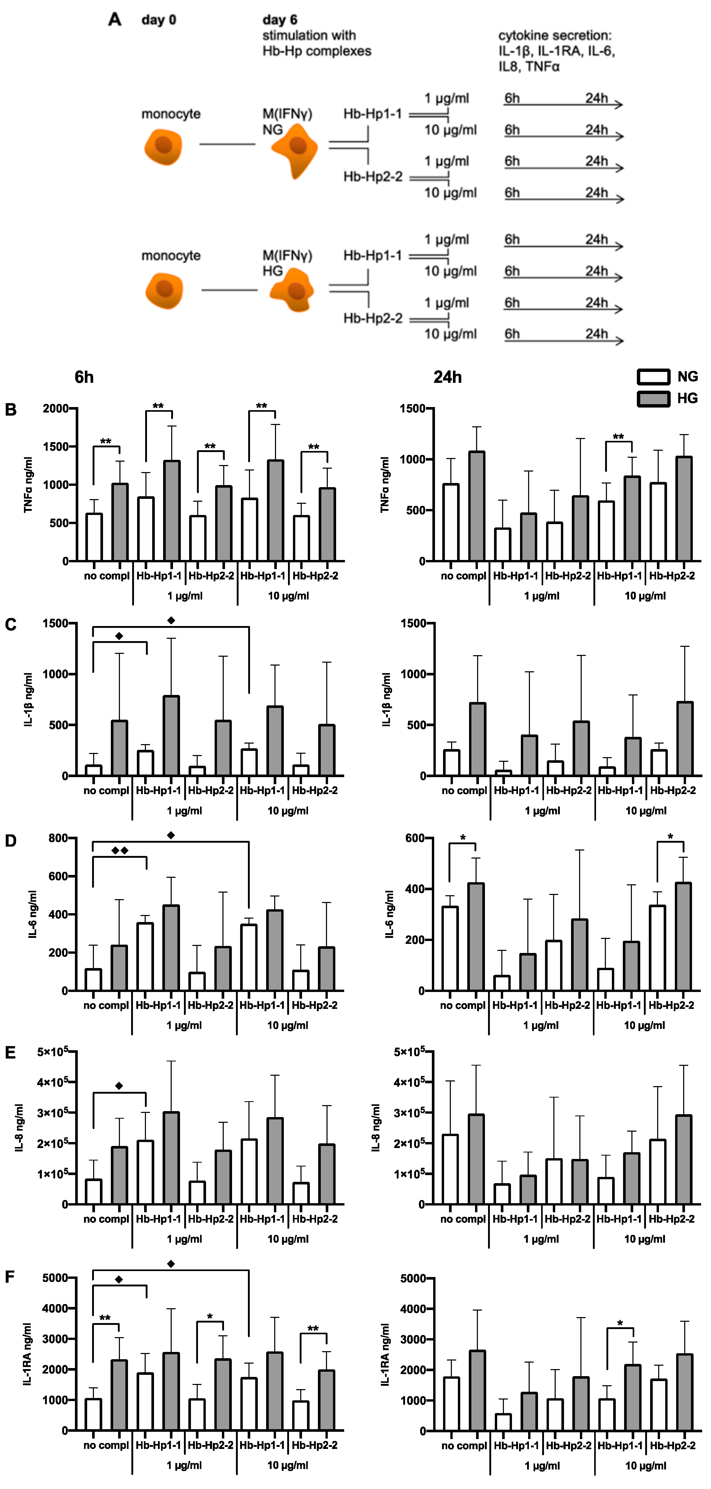 Ijms 23 01385 g003 Ijms 23 01385 g003