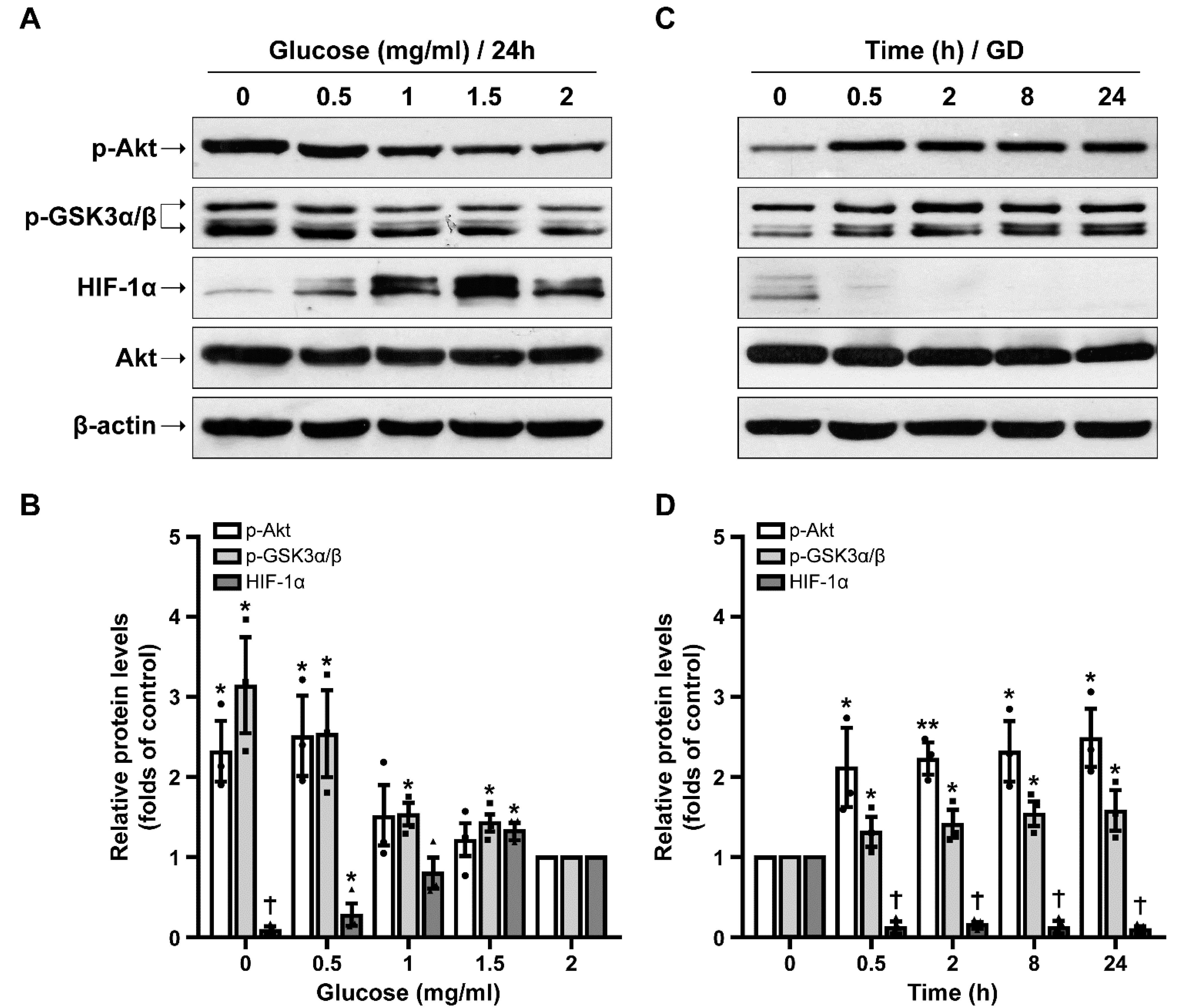 Ijms 23 01386 g001 550