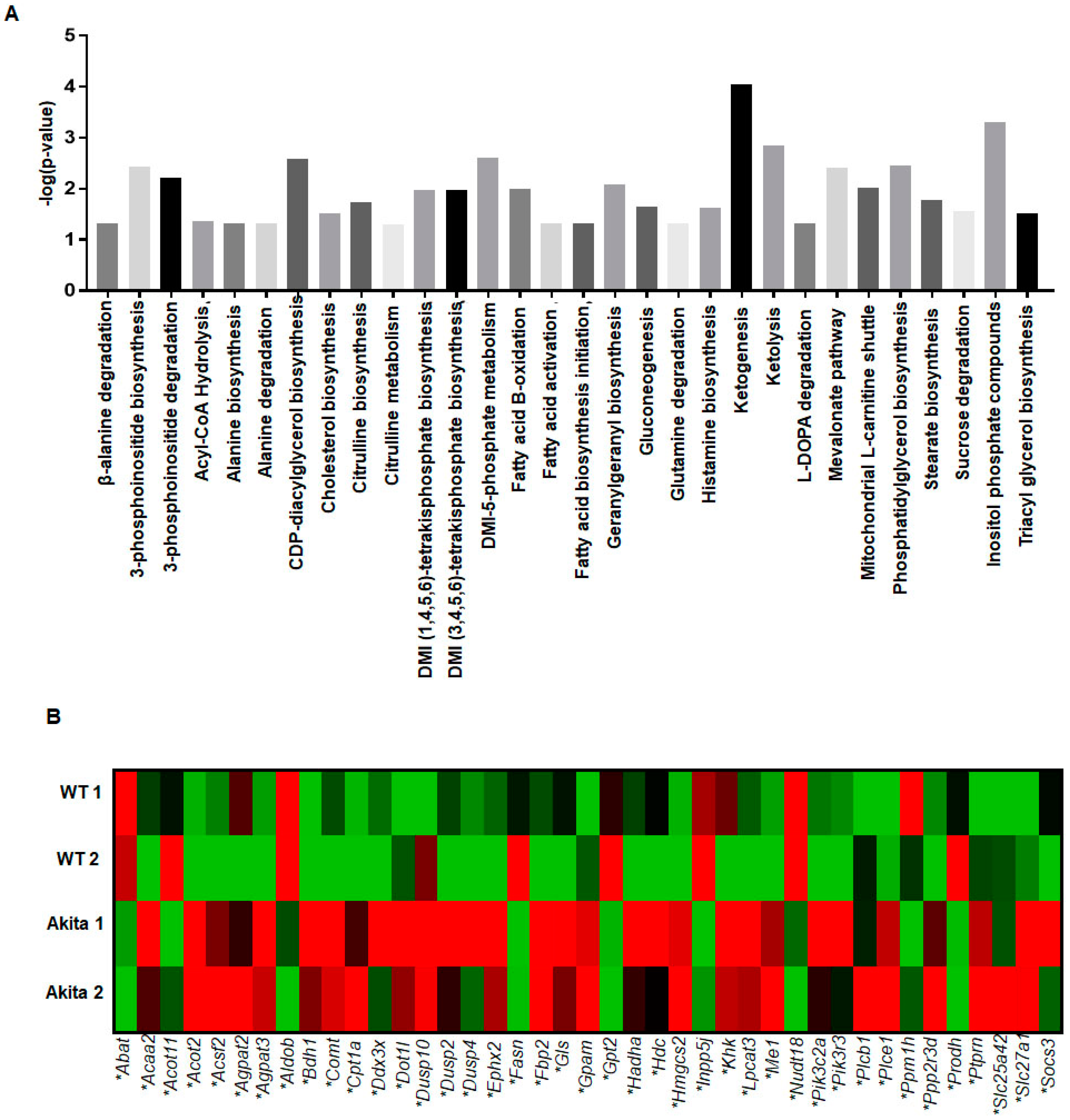 Ijms 23 01392 g004 Ijms 23 01392 g004