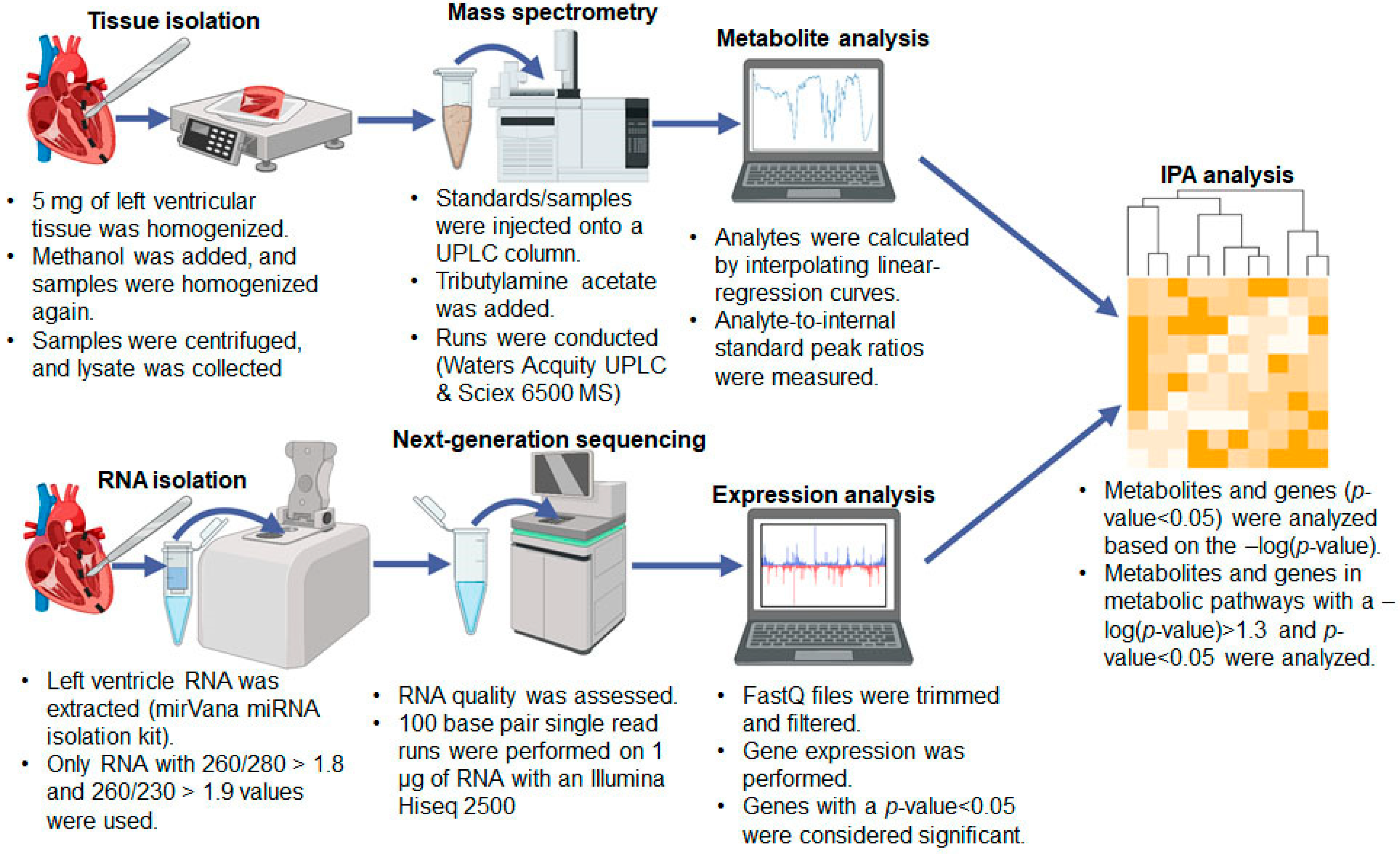 Ijms 23 01392 g007 Ijms 23 01392 g007
